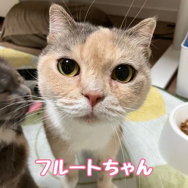フルート