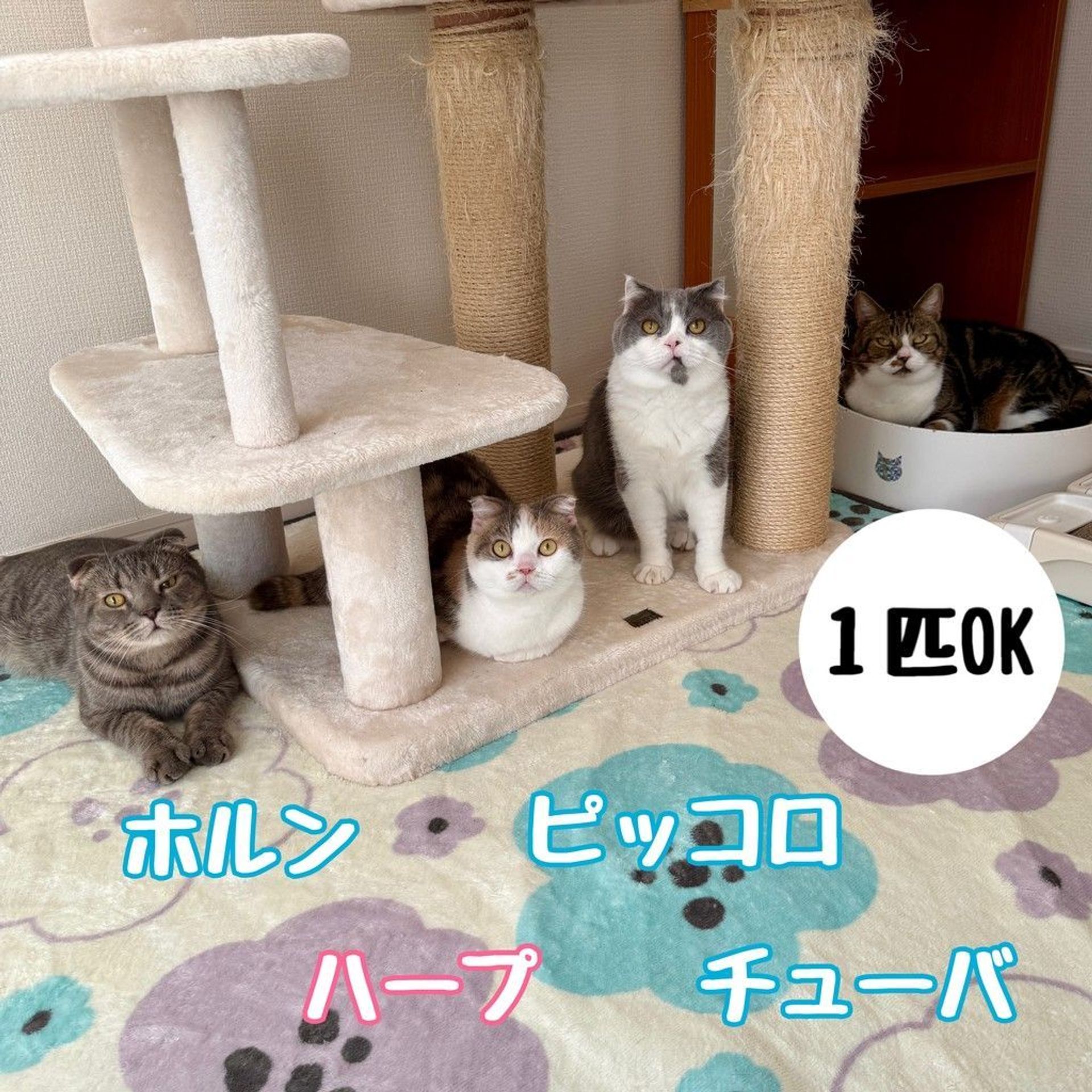 thumbnail-4