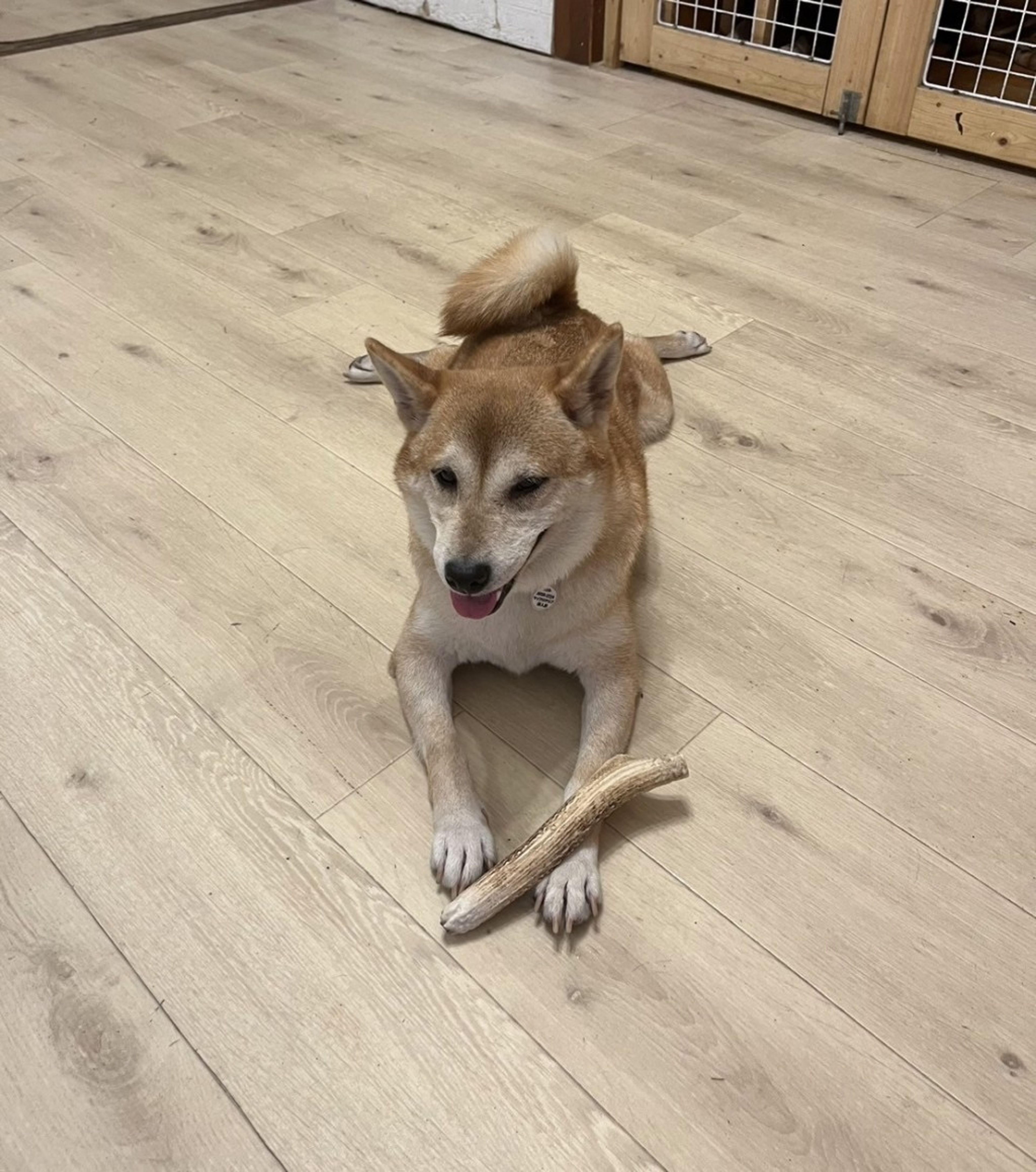 image-9
