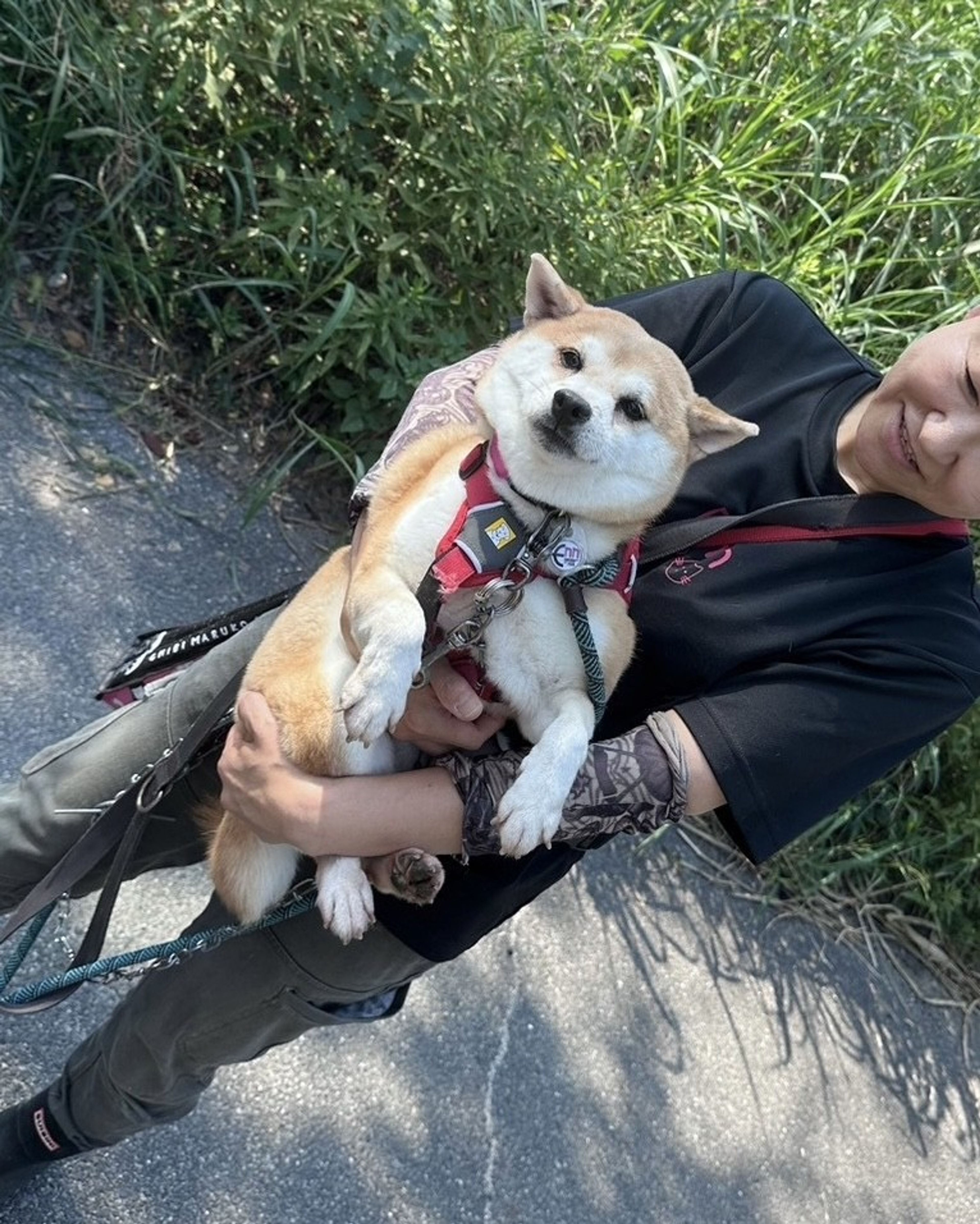pet-image-7