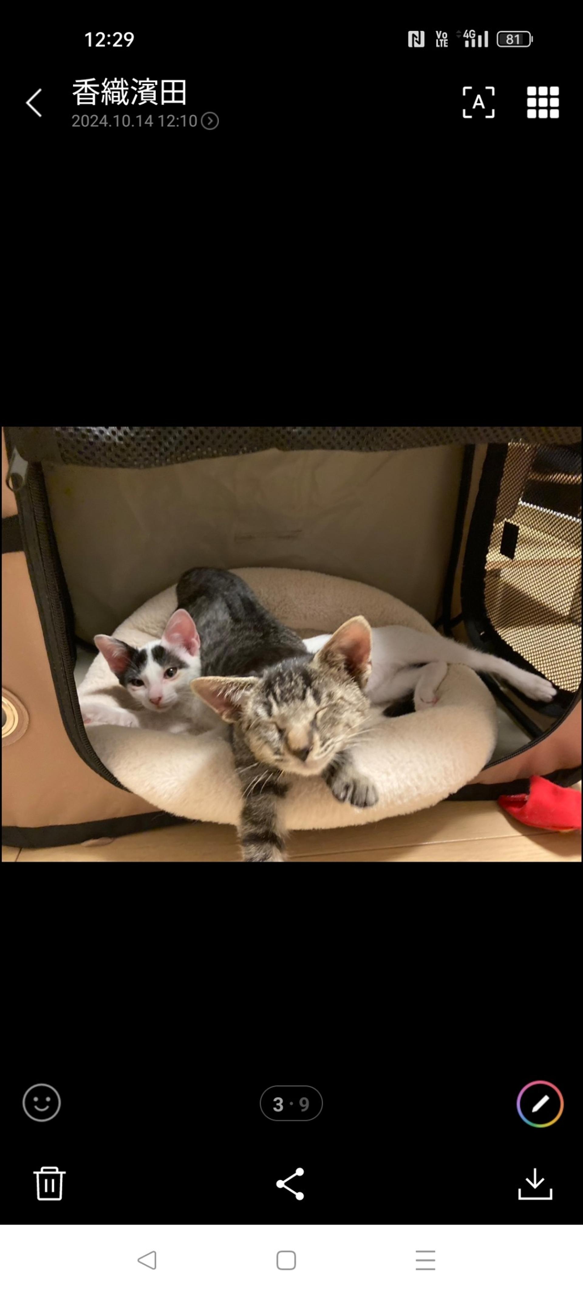pet-image-5