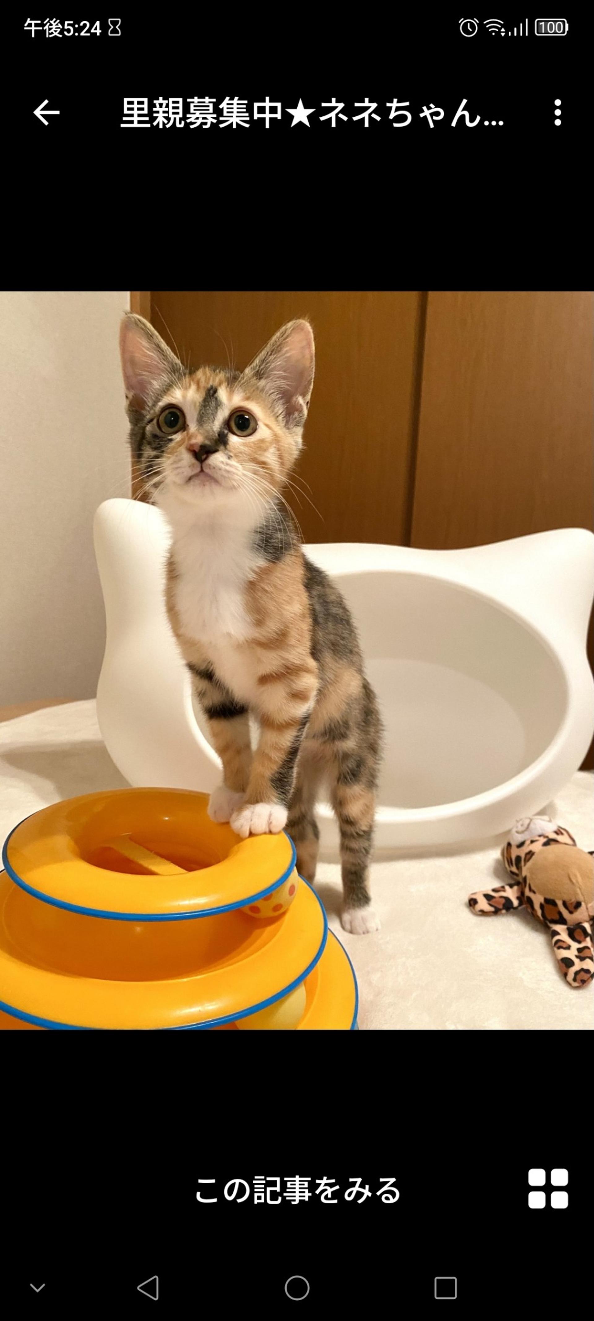 pet-image-3
