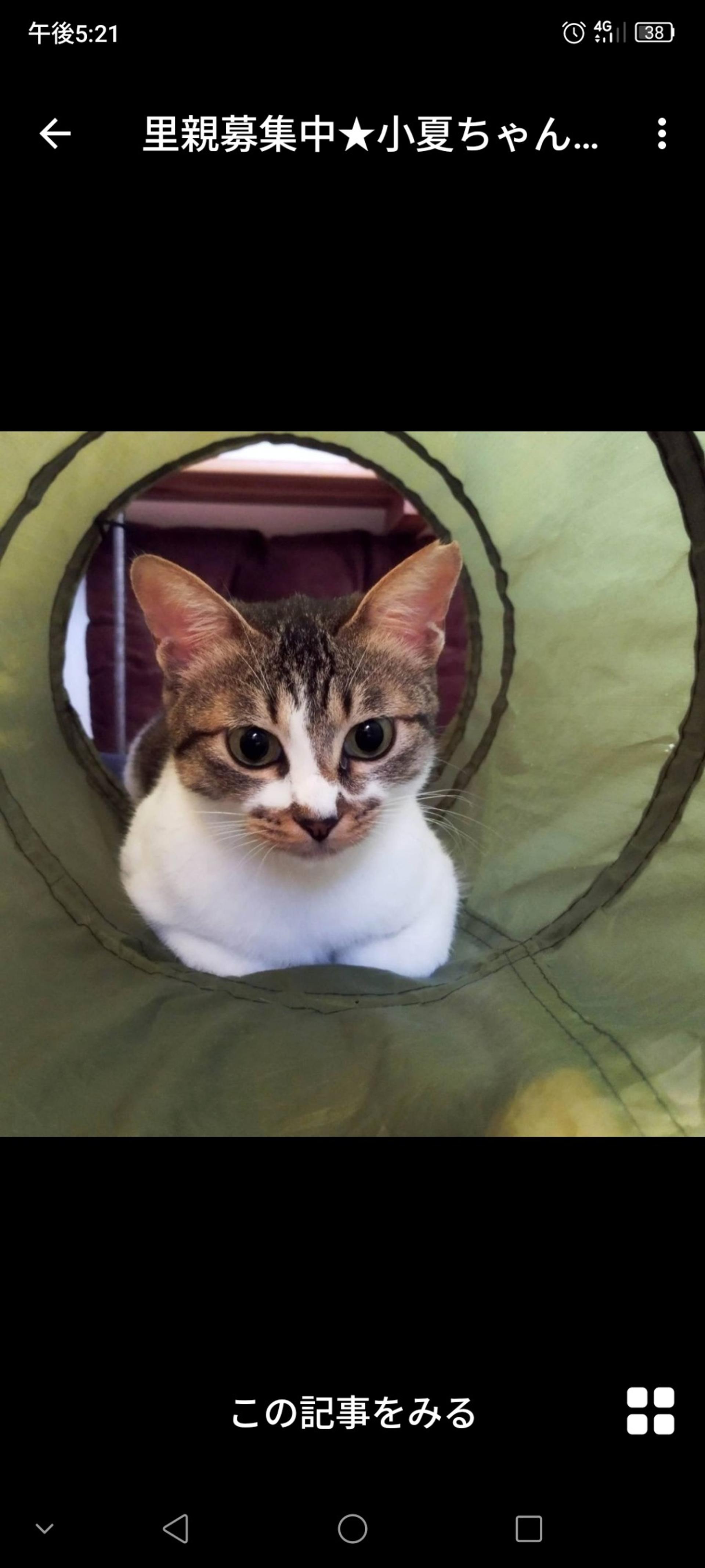 pet-image-2