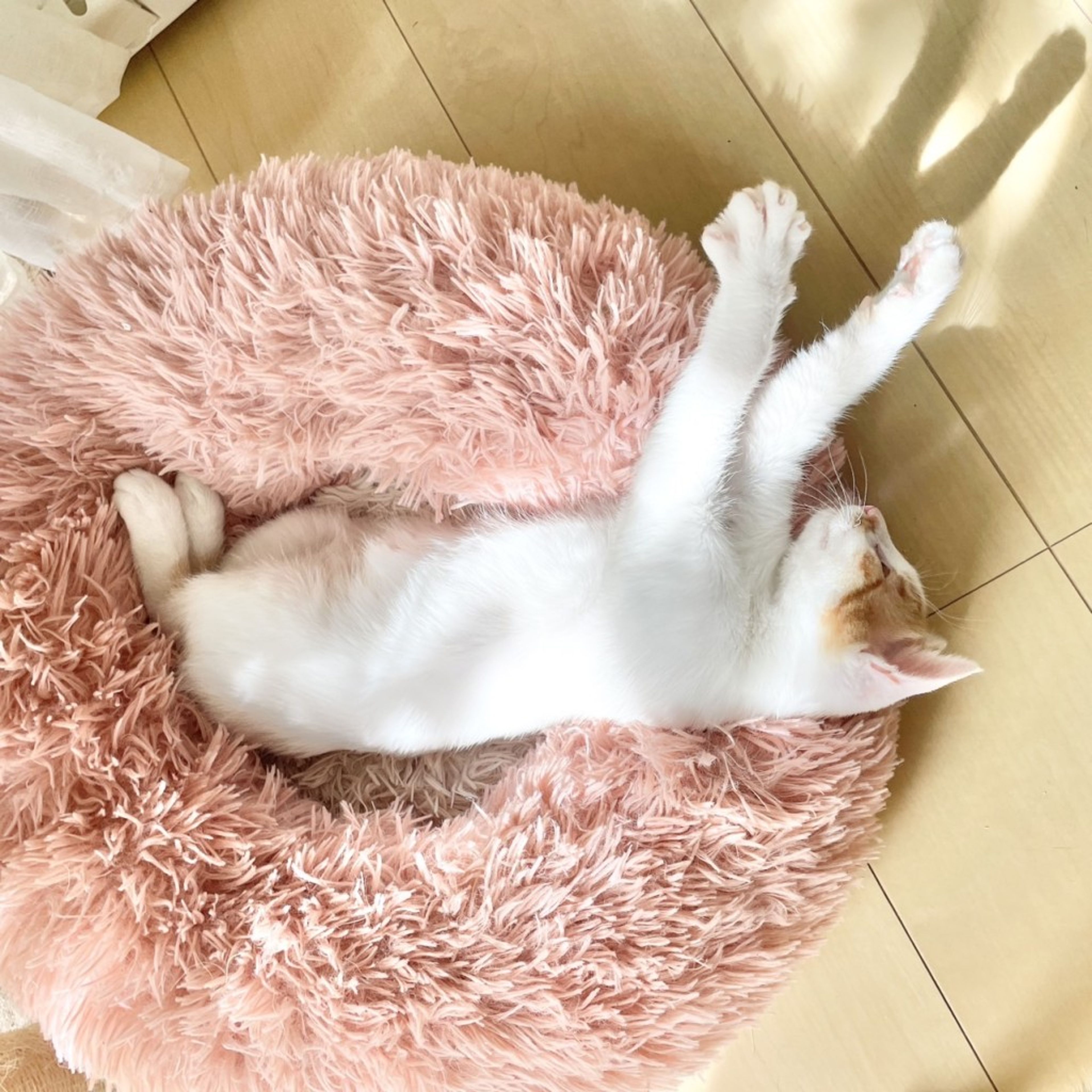 image-6