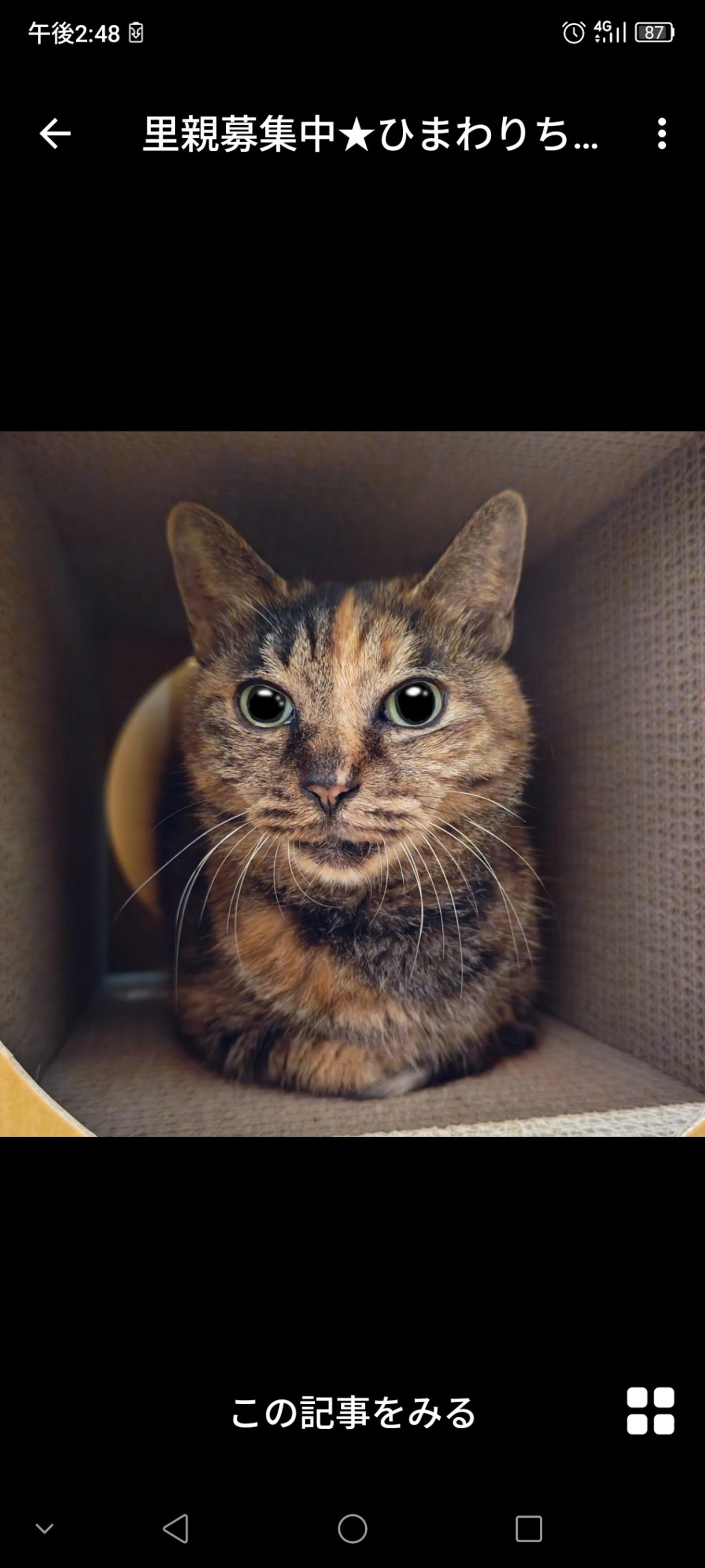 pet-image-2