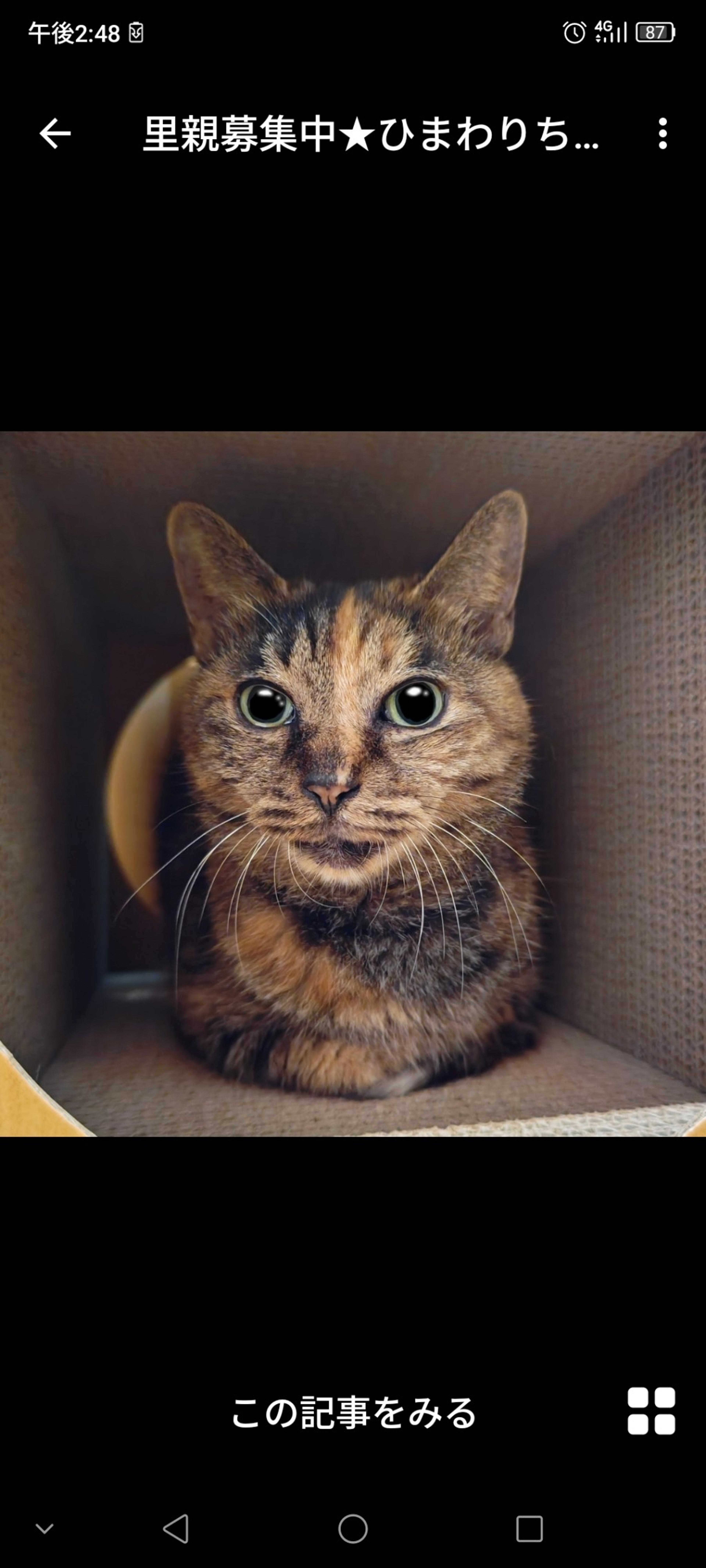 pet-image-2