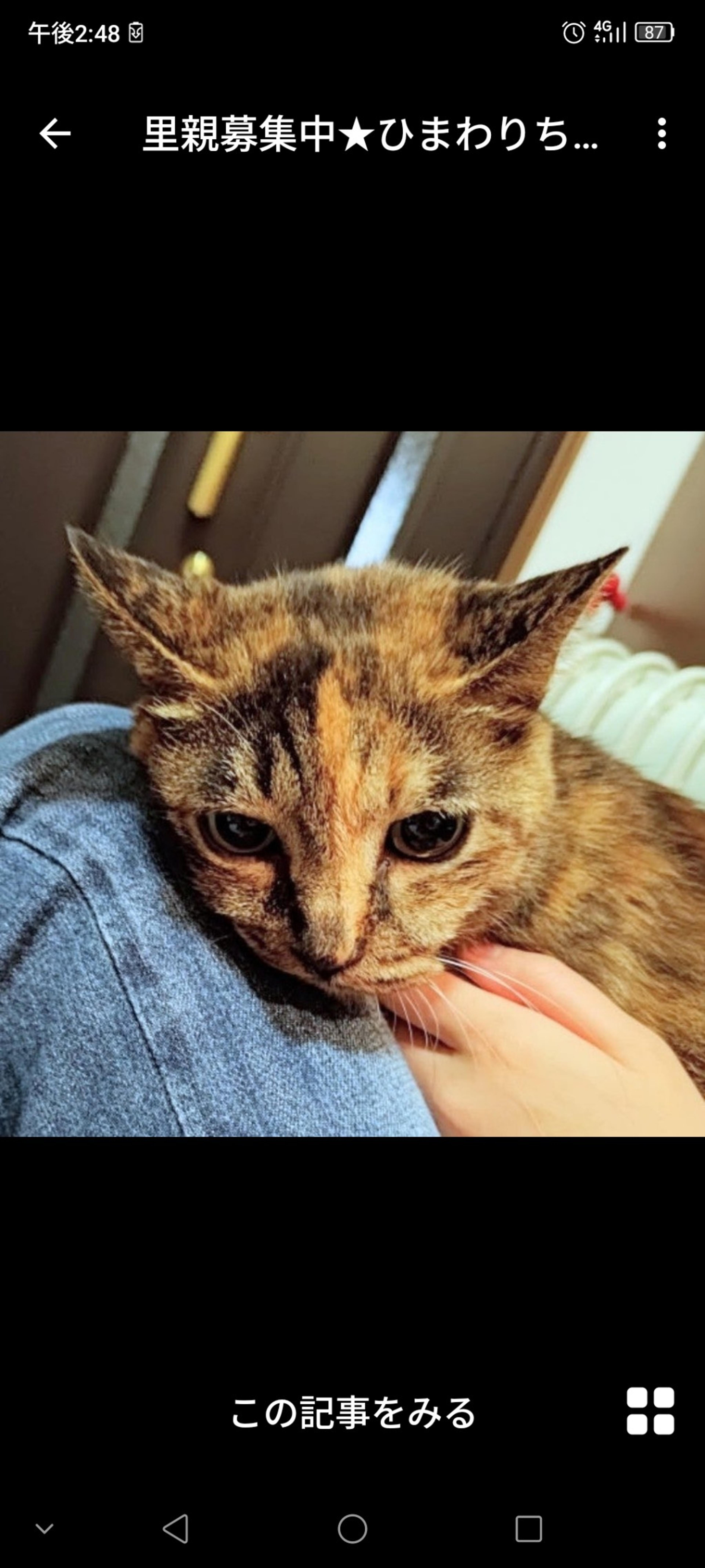pet-image-3