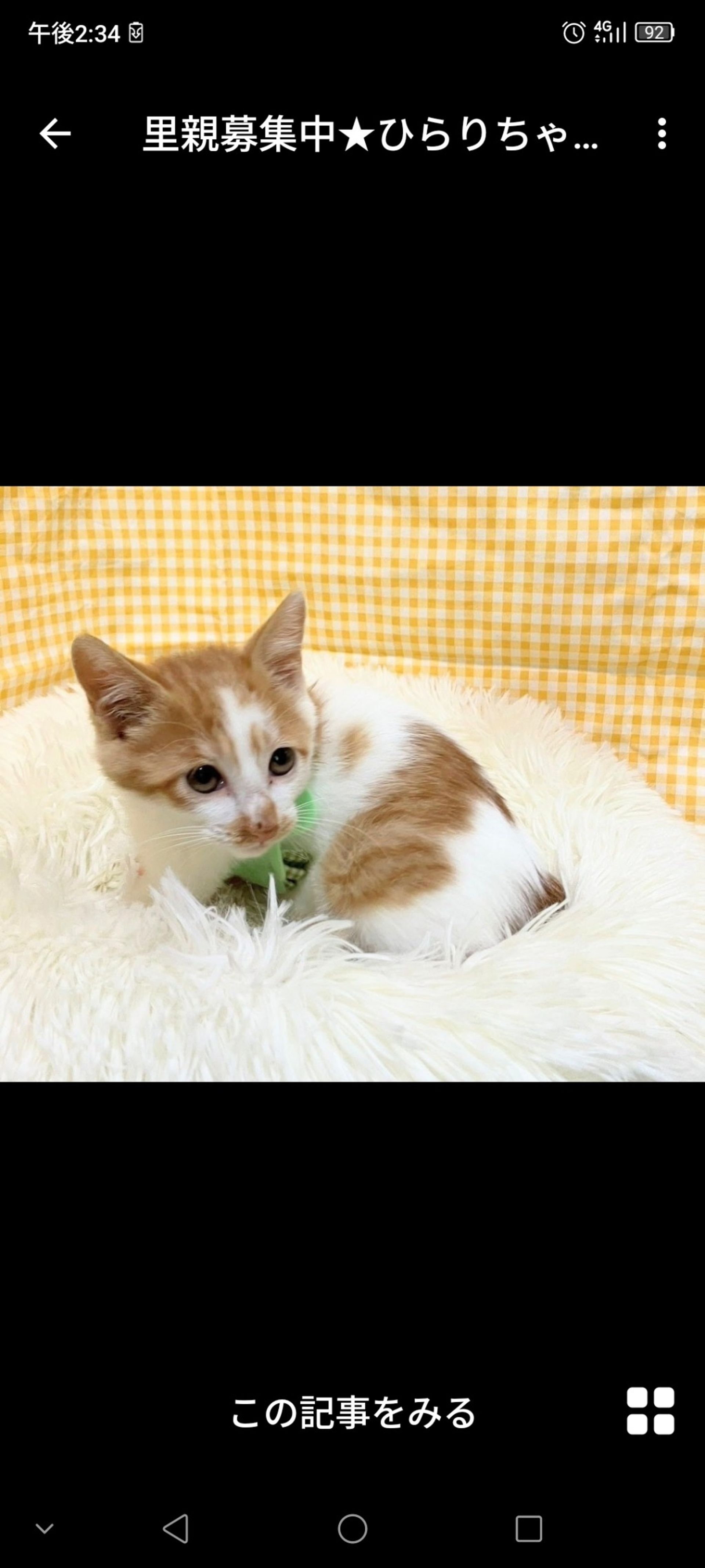 thumbnail-3
