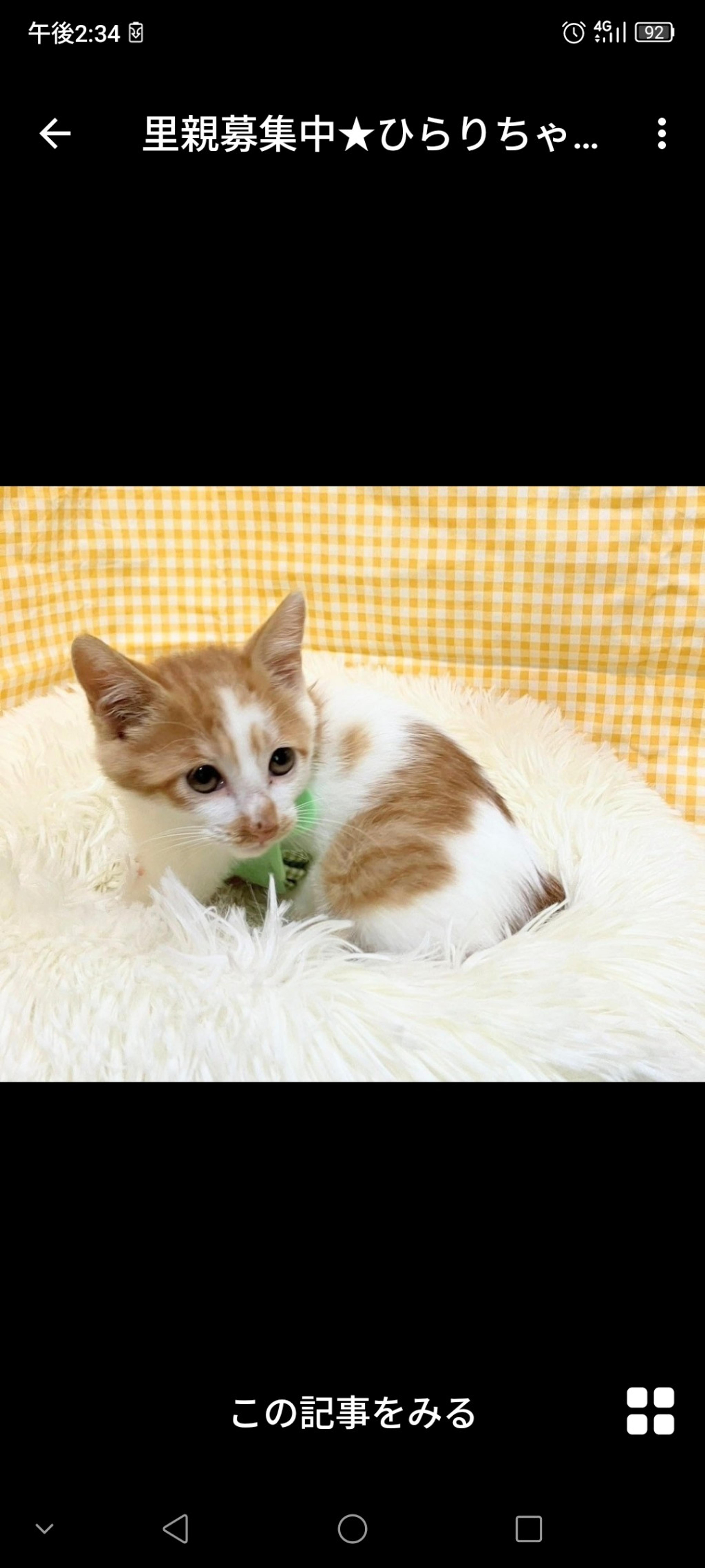 pet-image-3