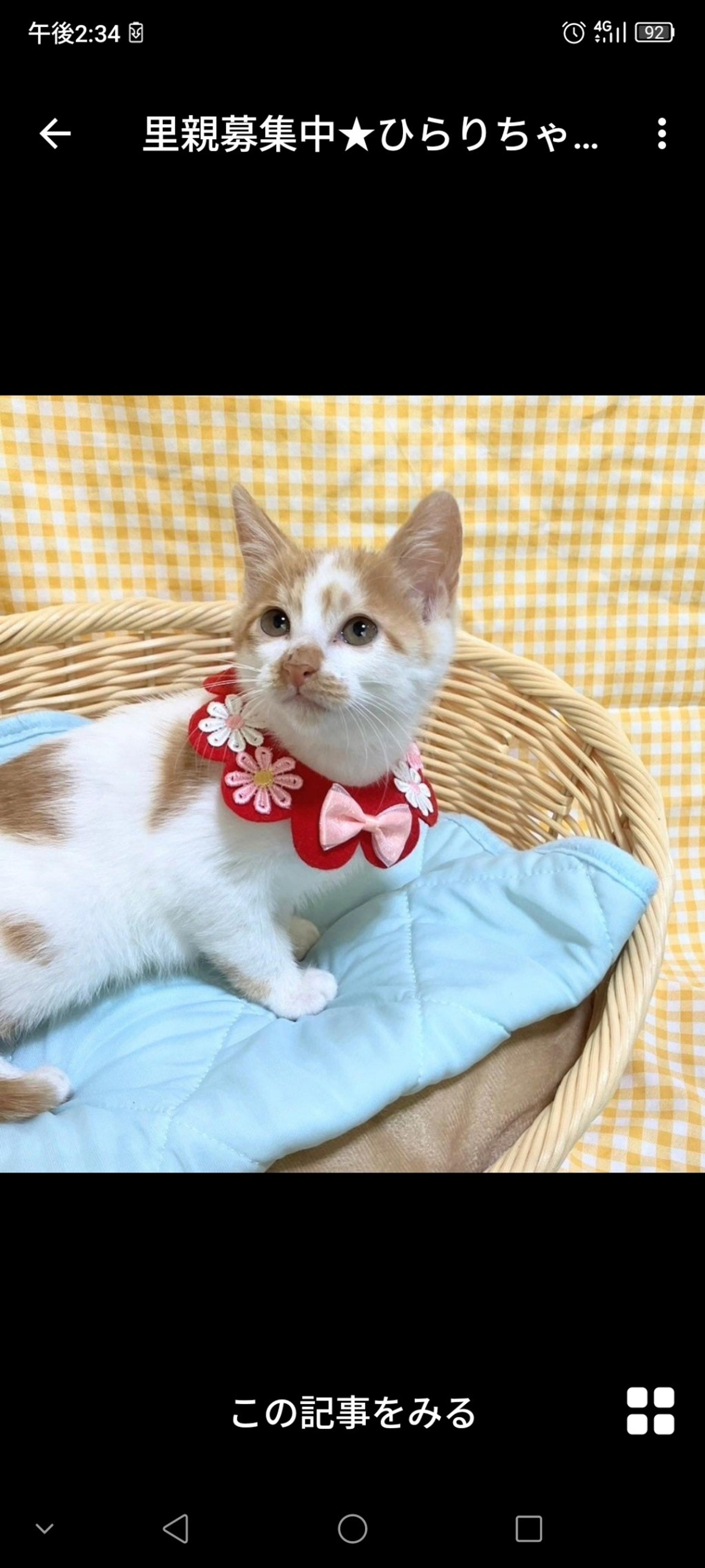pet-image-2
