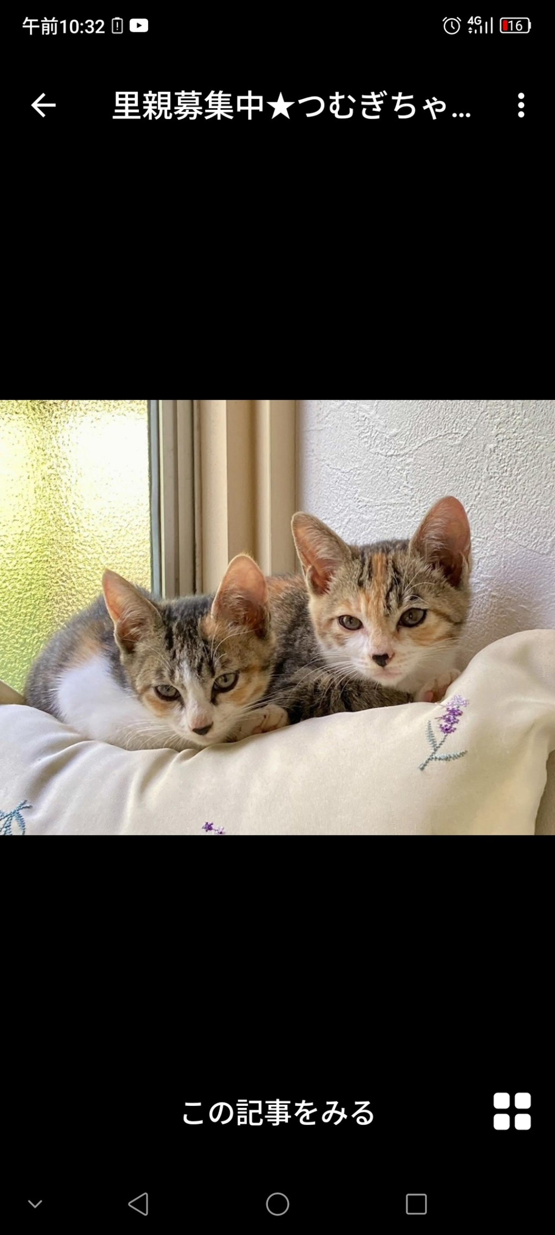 pet-image-3