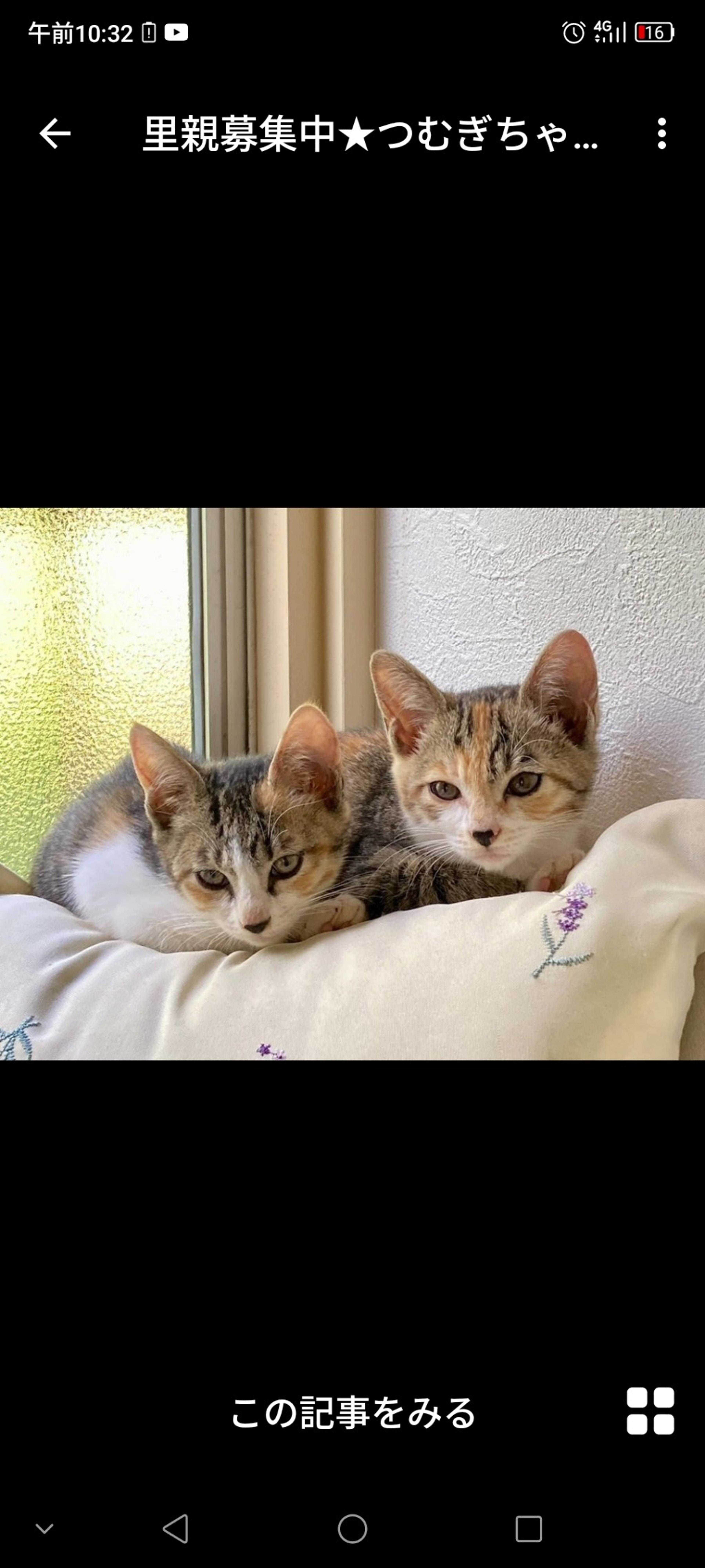 pet-image-3