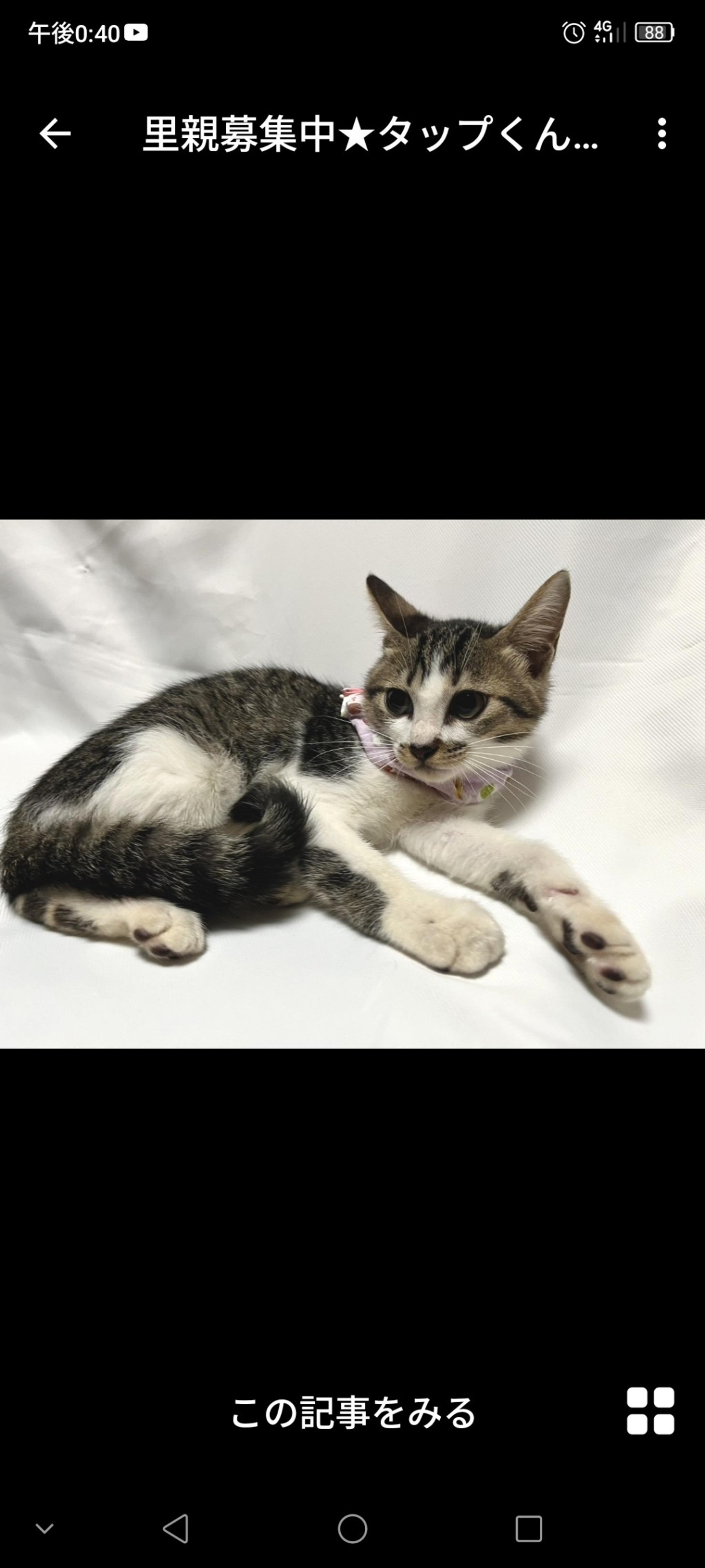 pet-image-3