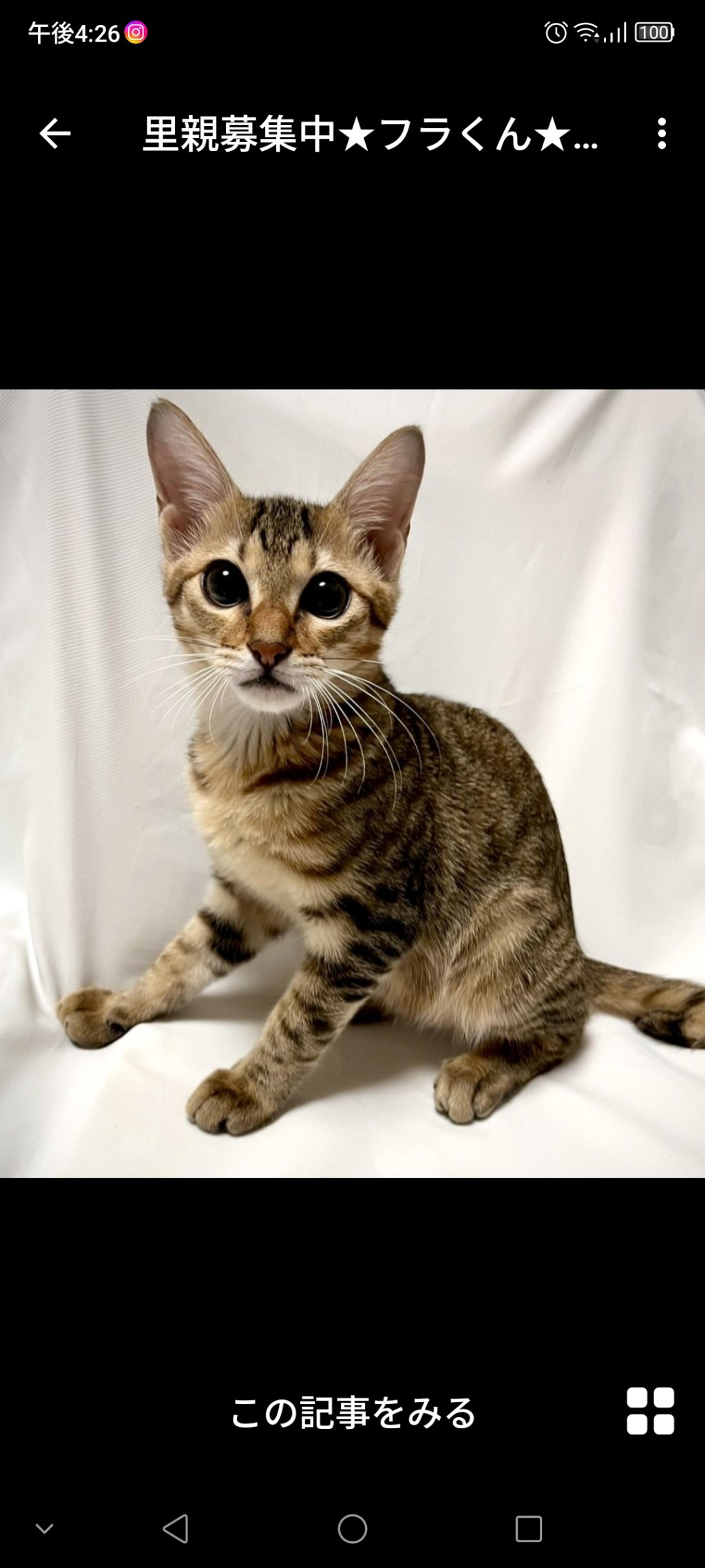 pet-image-2