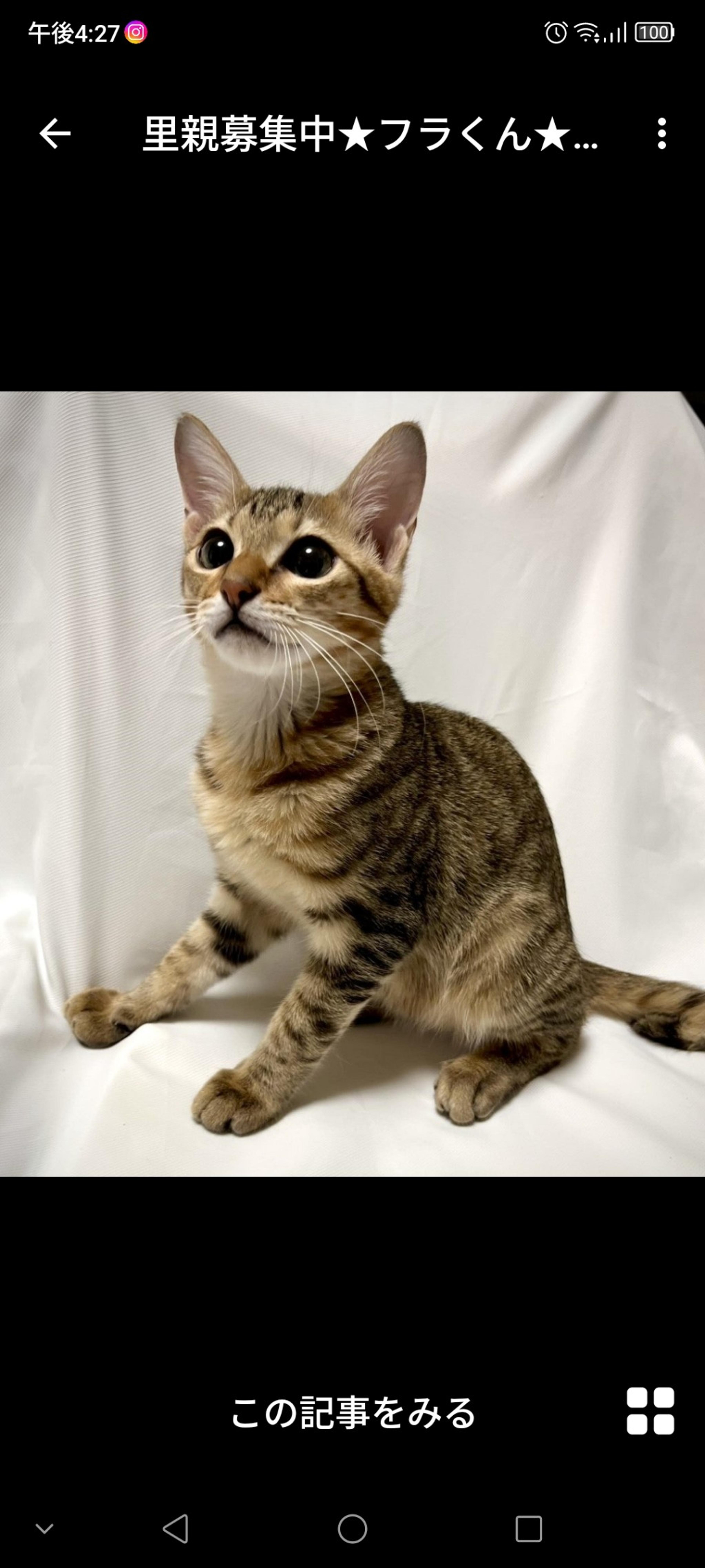 pet-image-3