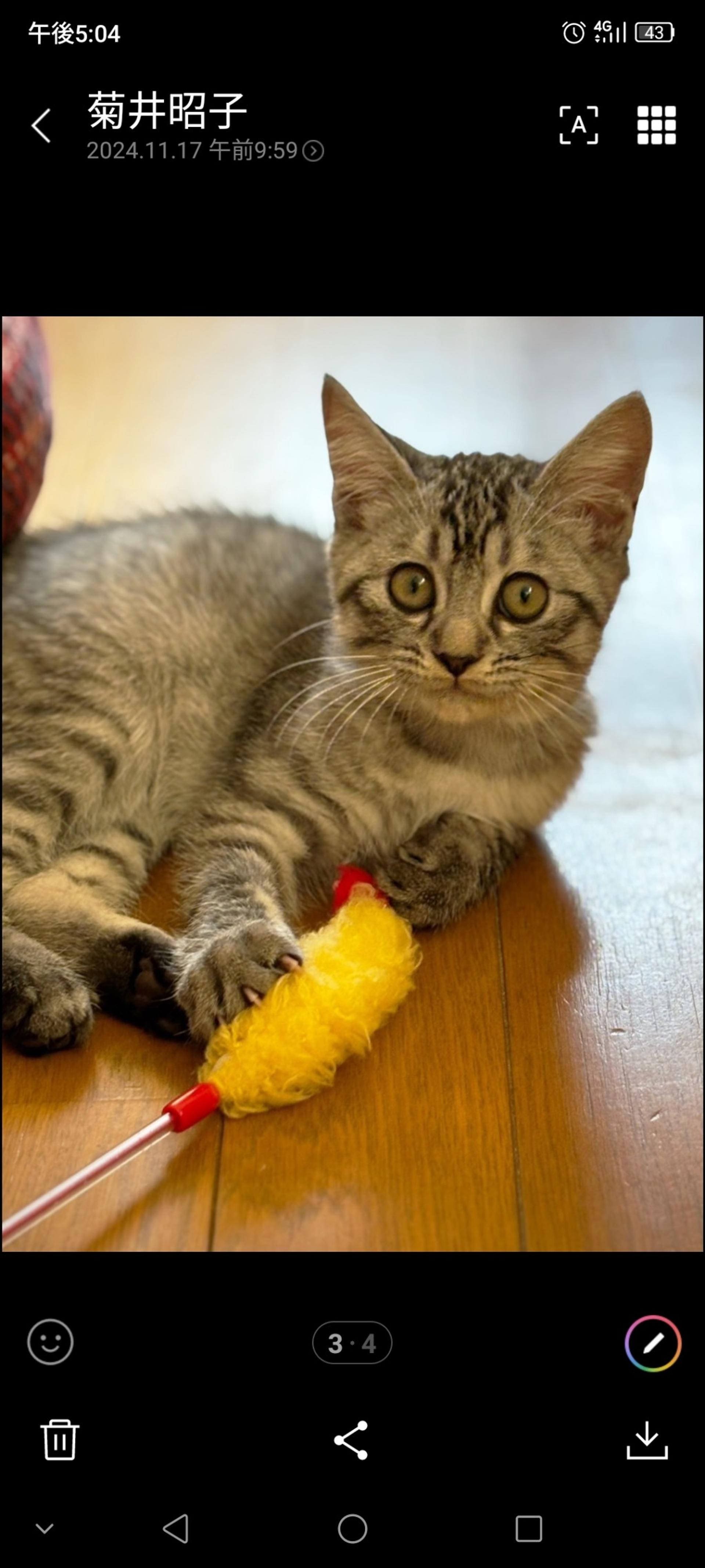 pet-image-2