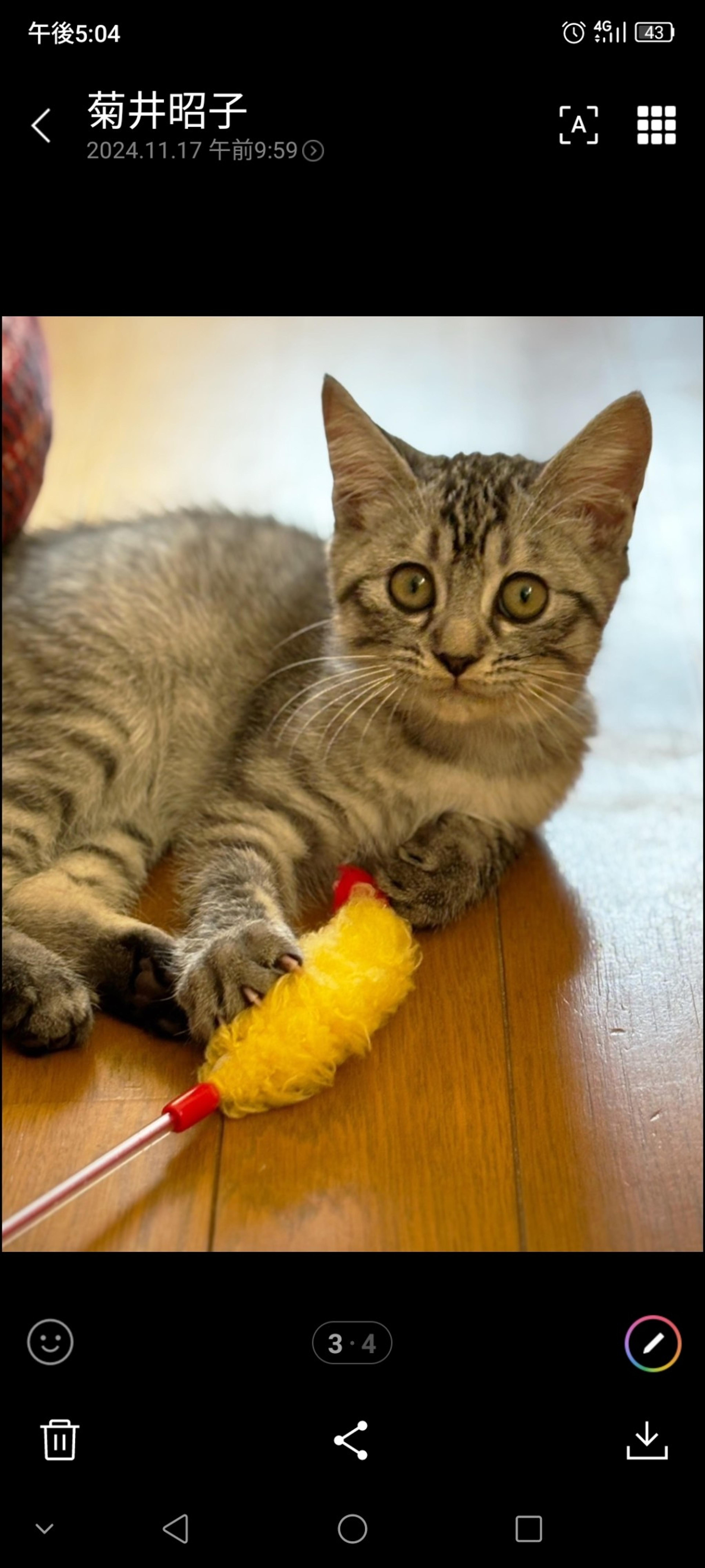 pet-image-2