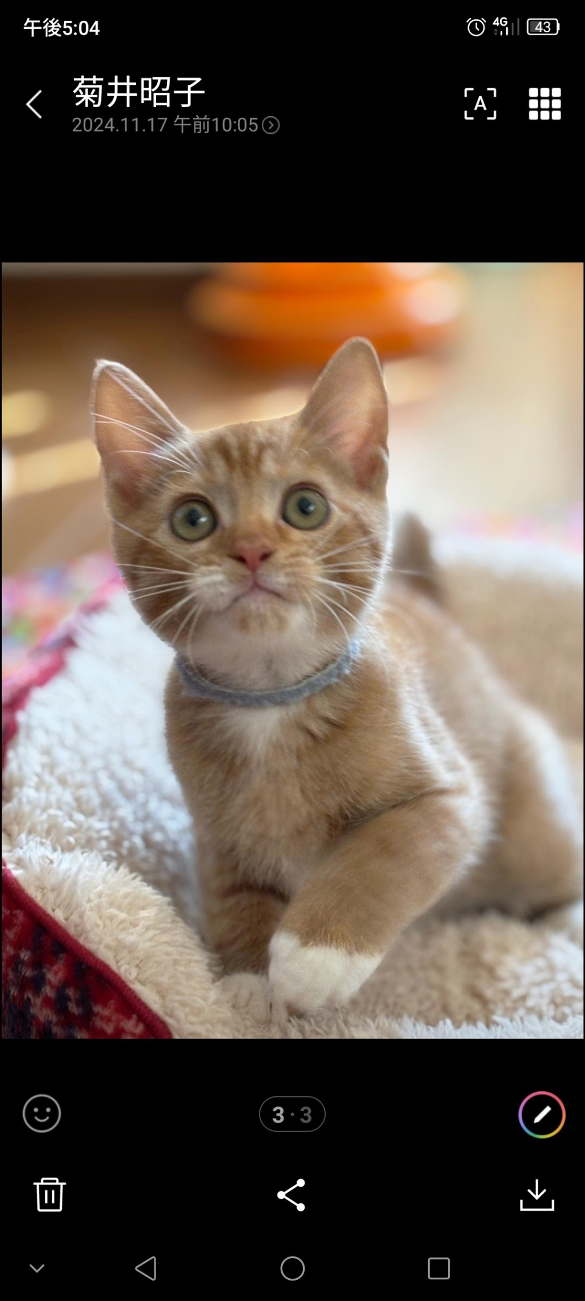 pet-image-6