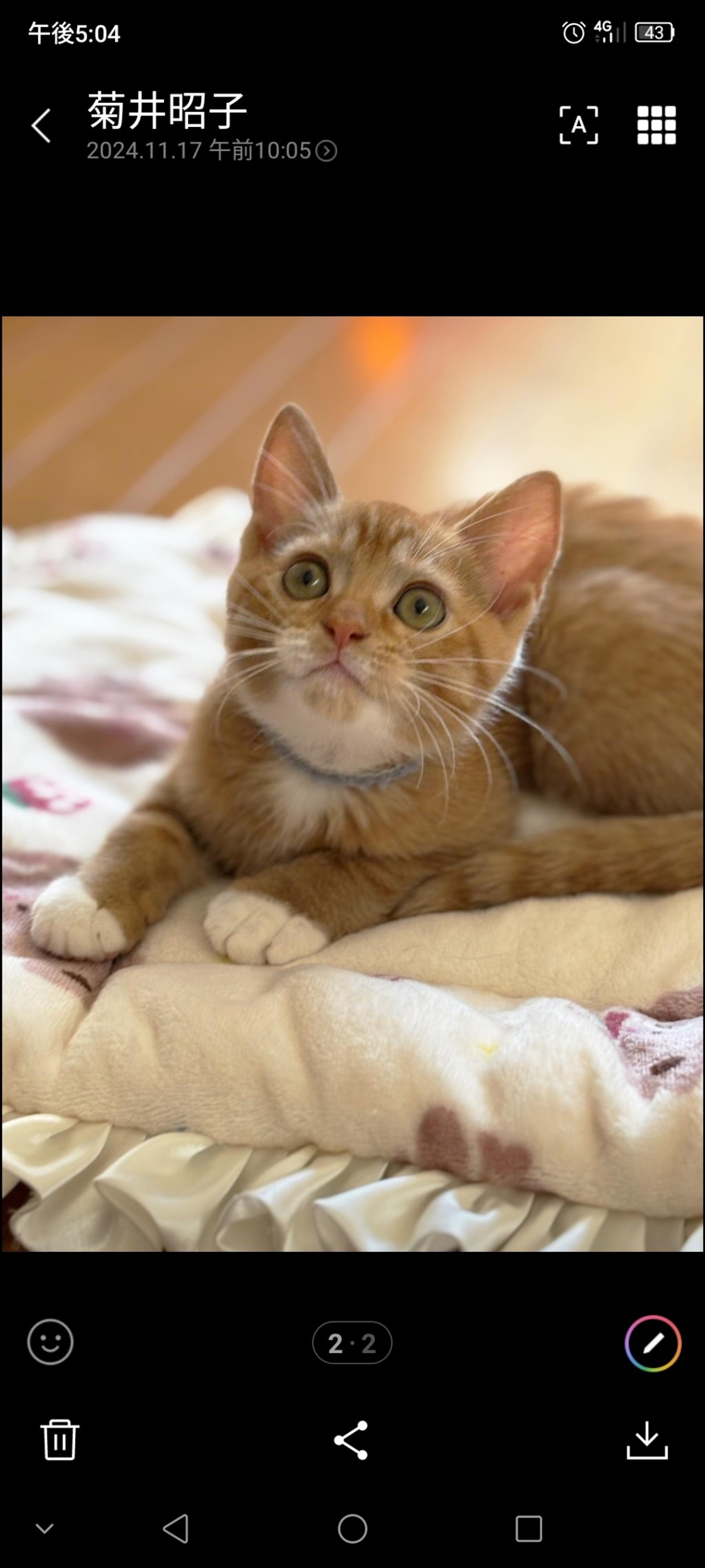 pet-image-4