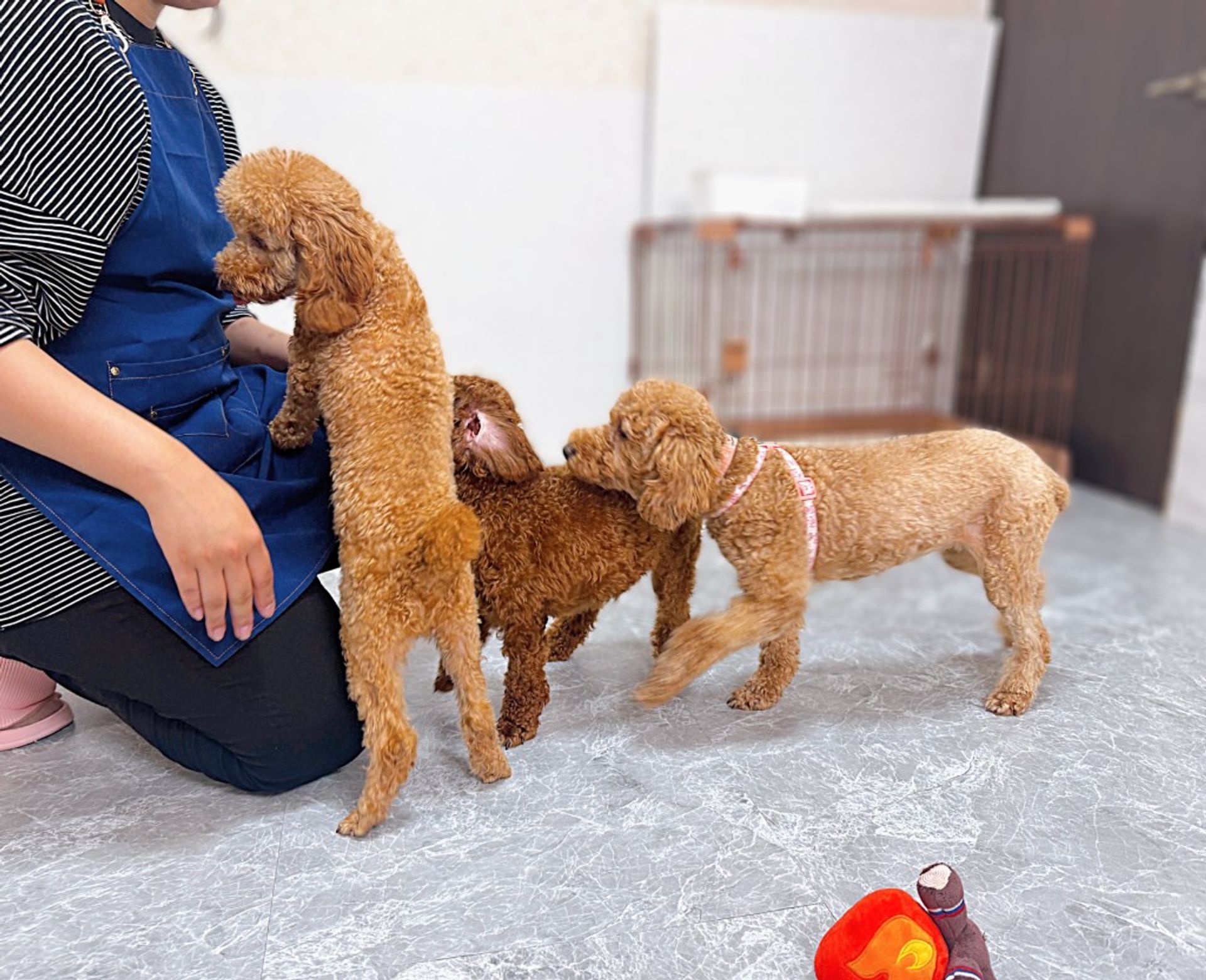 thumbnail-5
