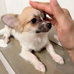 thumb-1