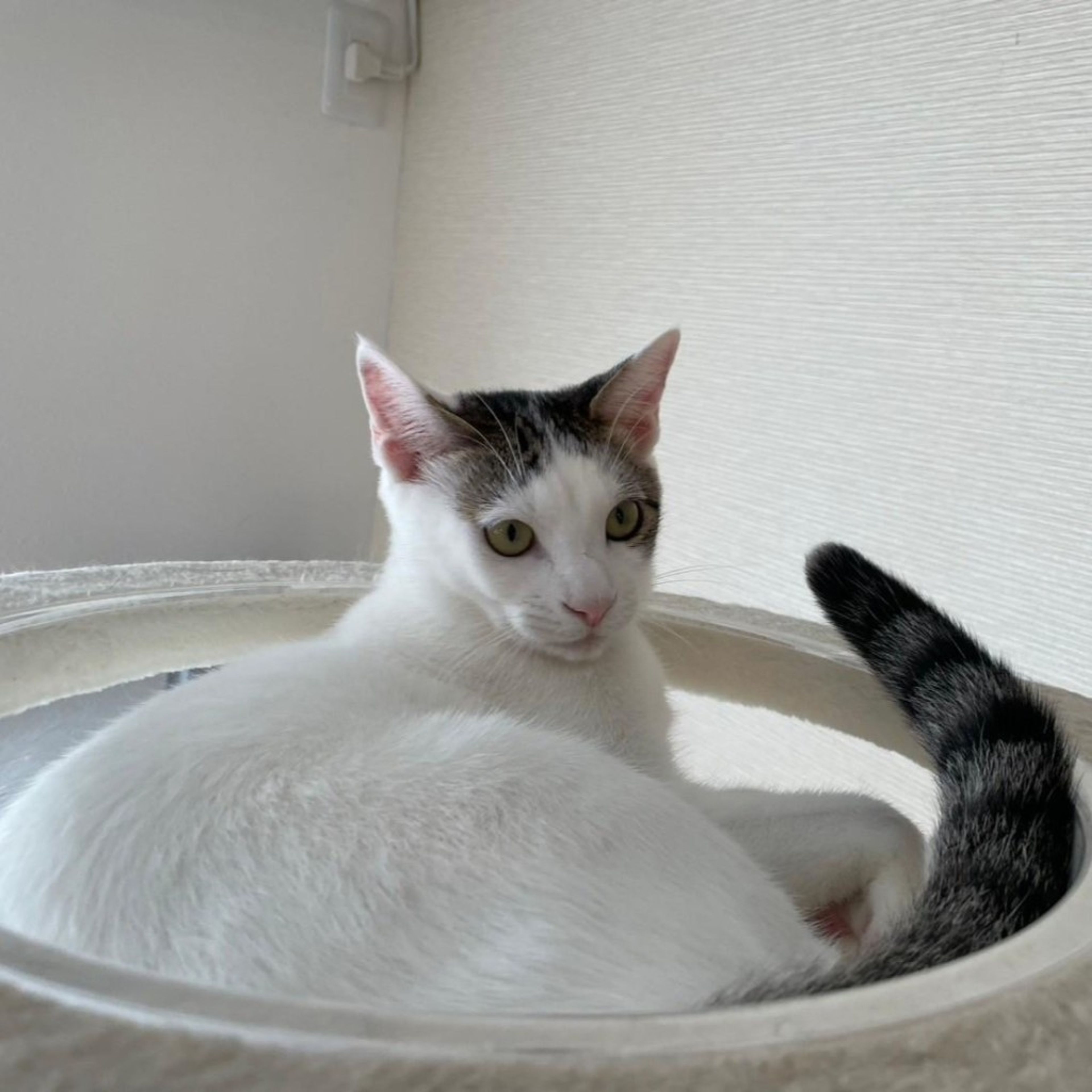image-6