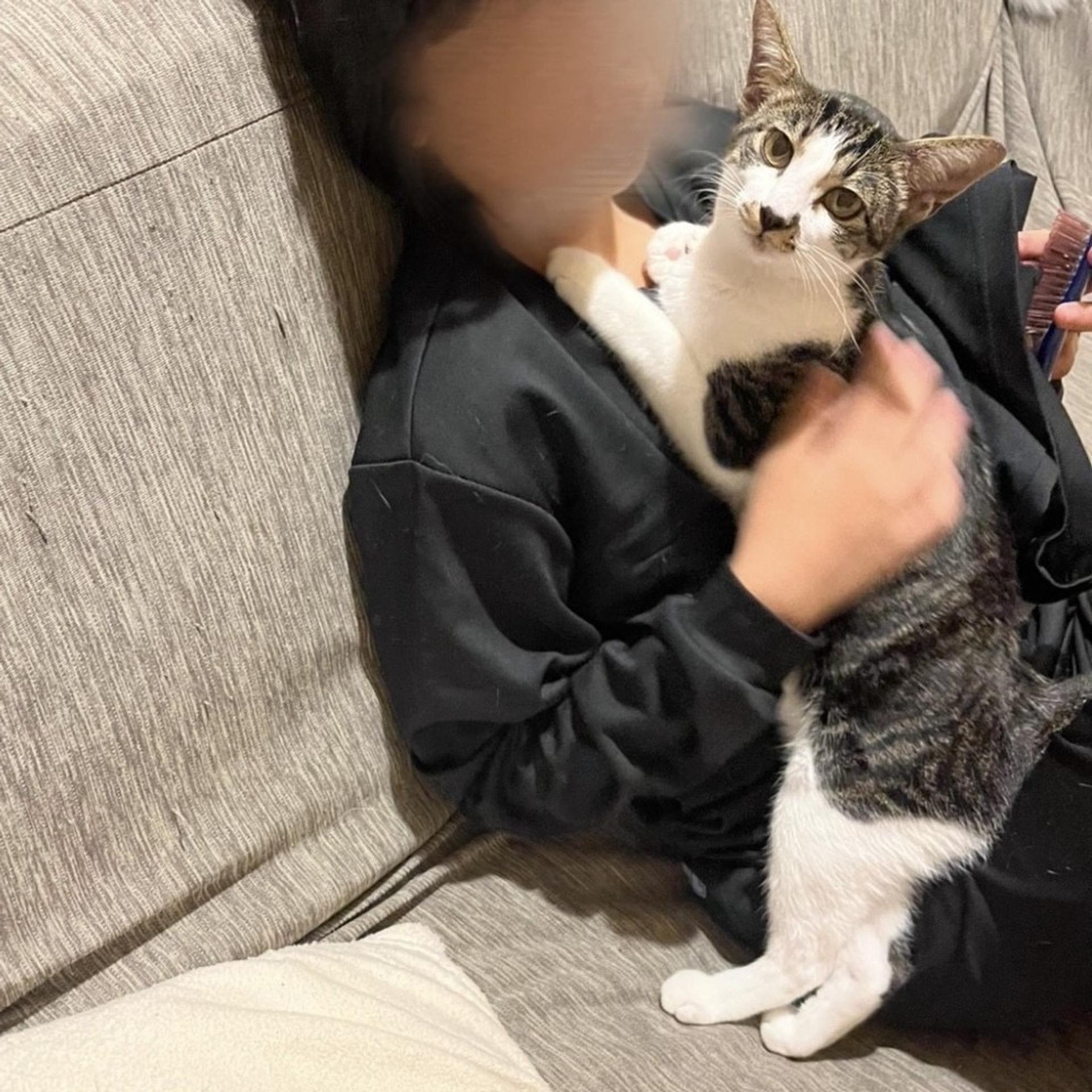 pet-image-3