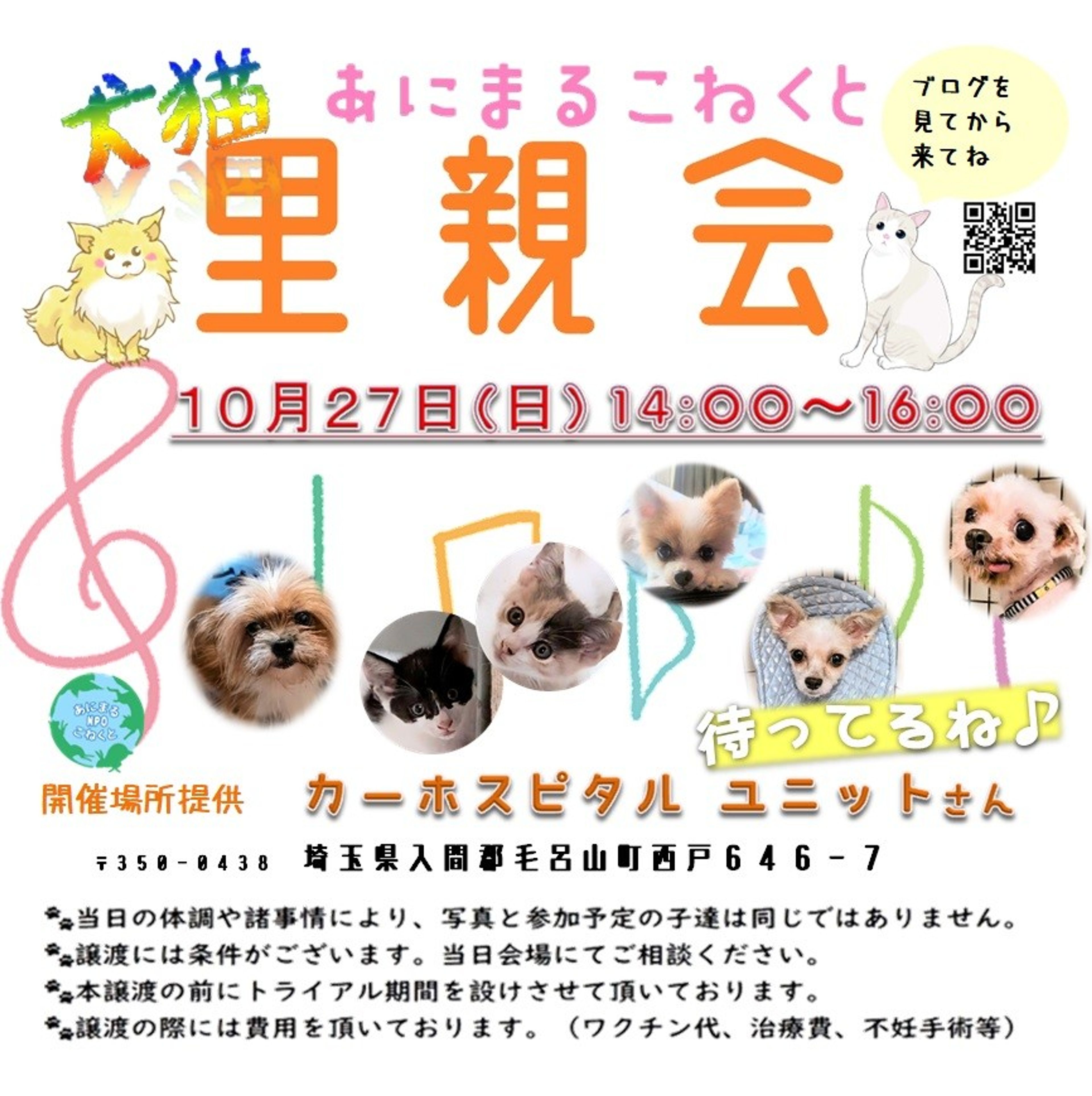 pet-image-10