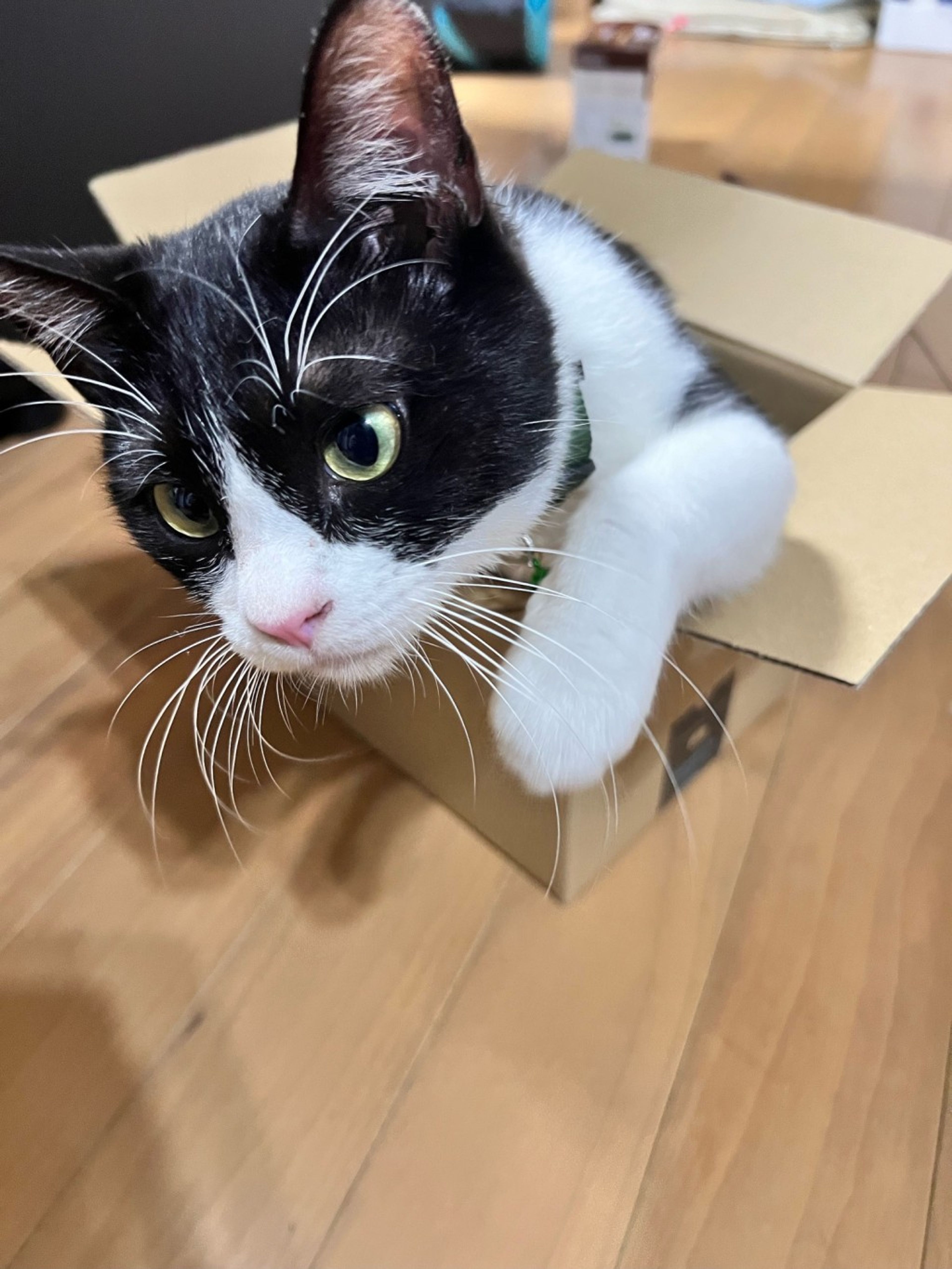 image-6