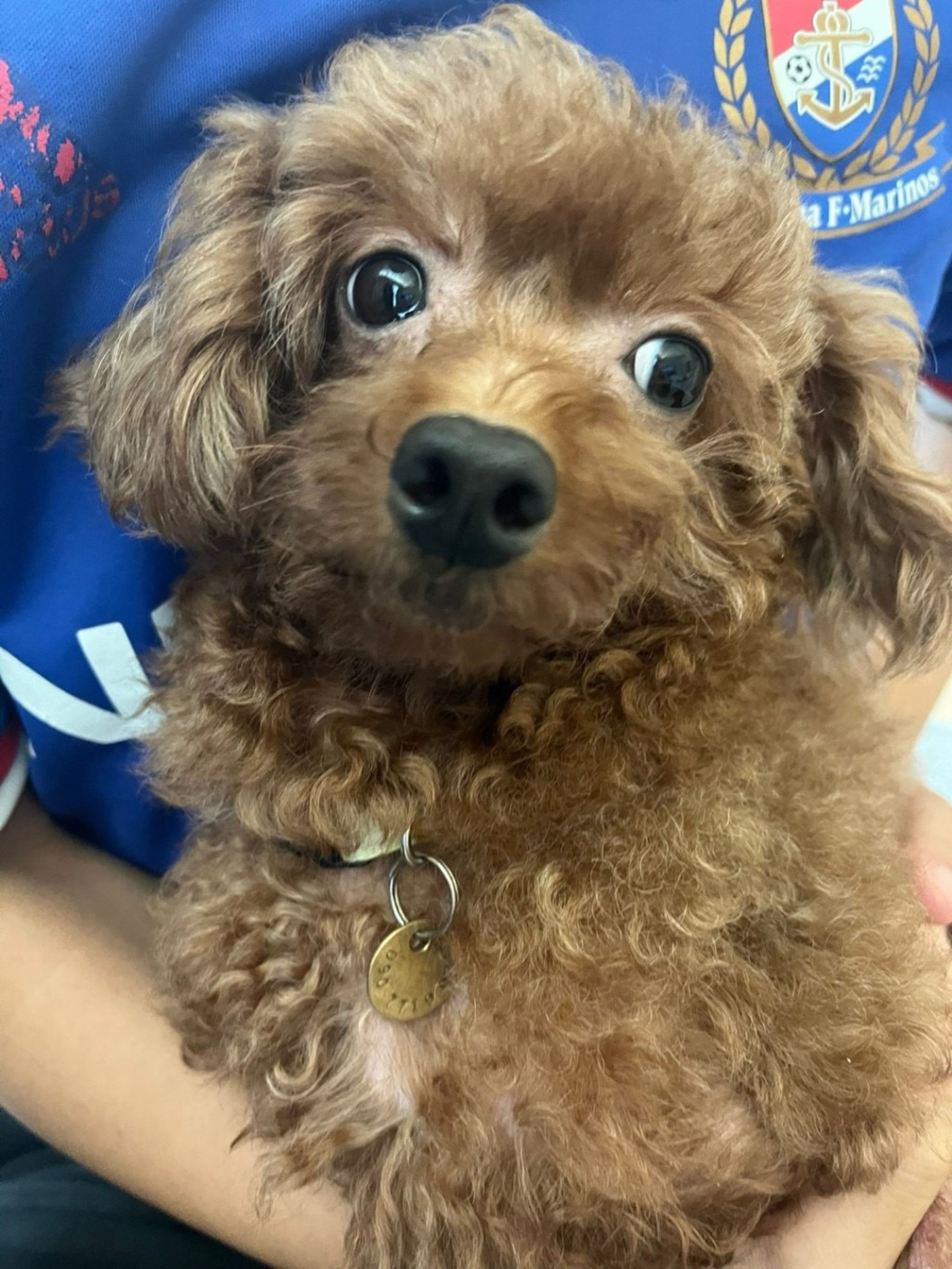 pet-image-5