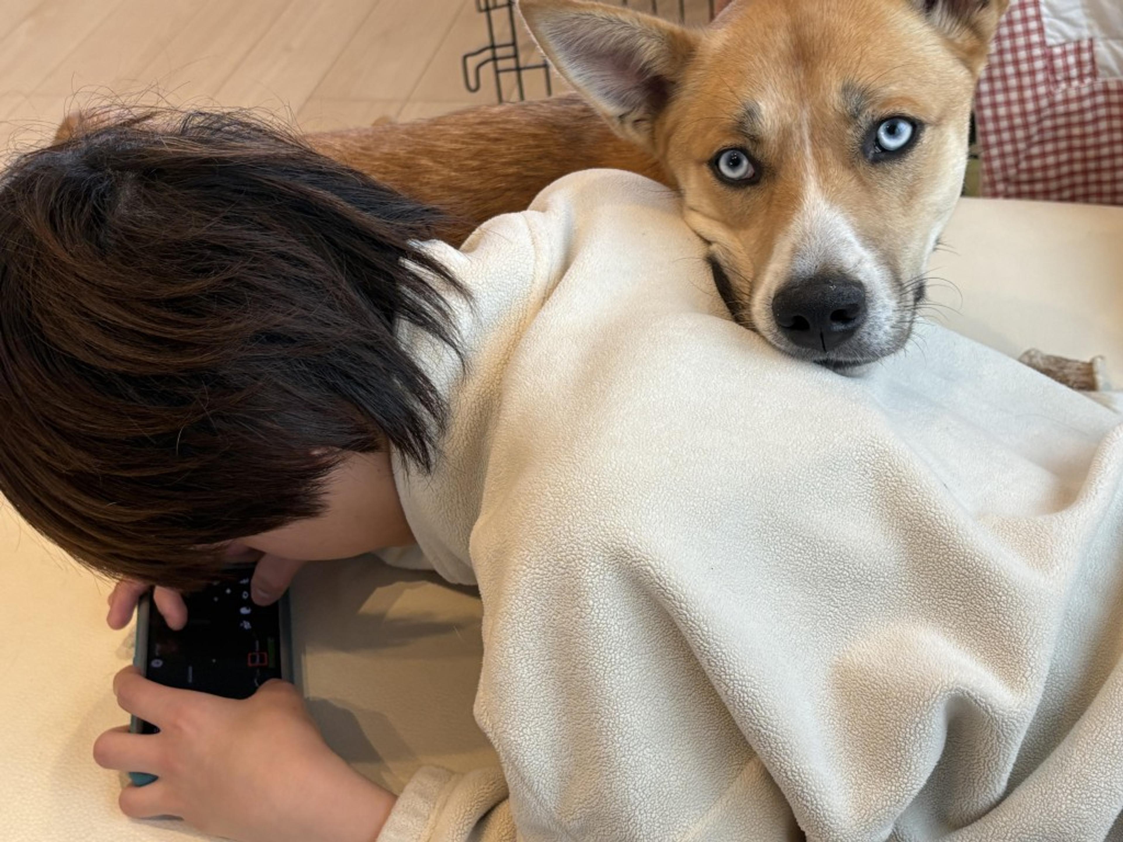 pet-image-3