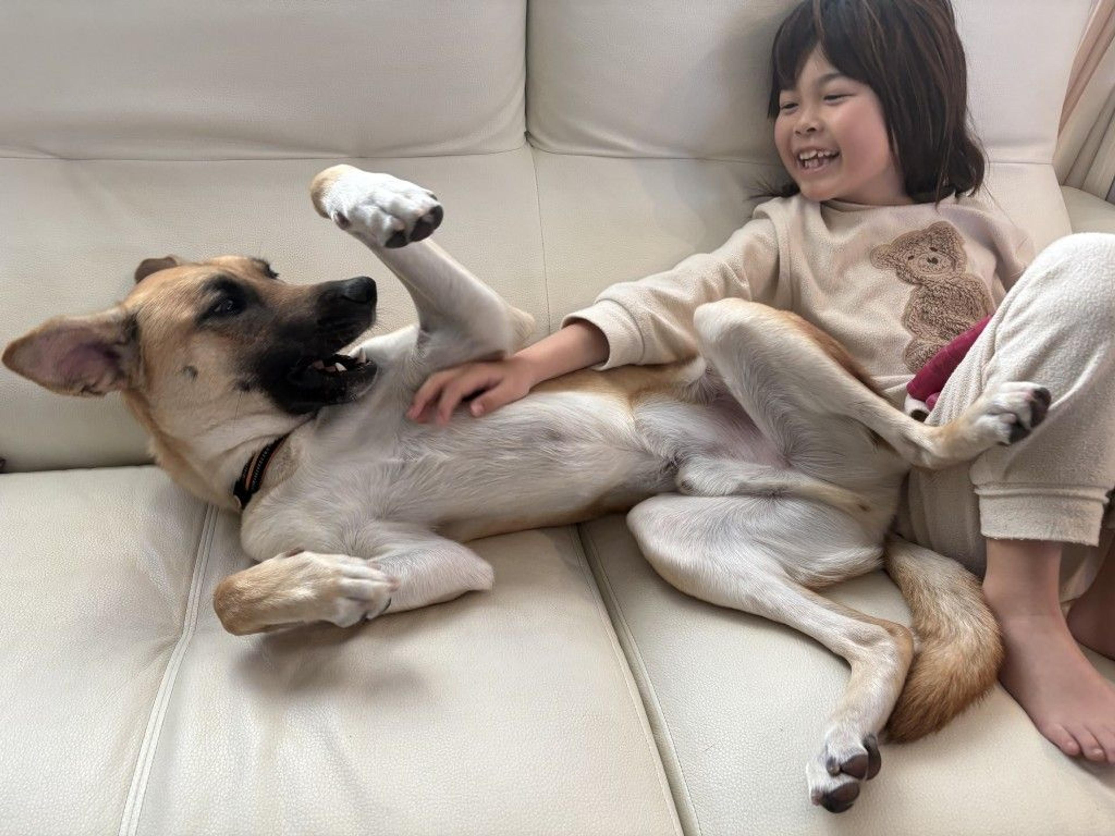 pet-image-3