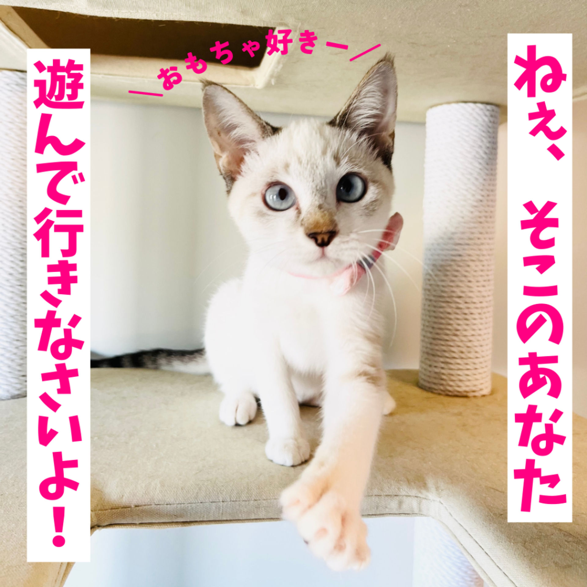 thumbnail-6