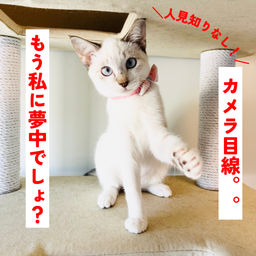 thumb-2