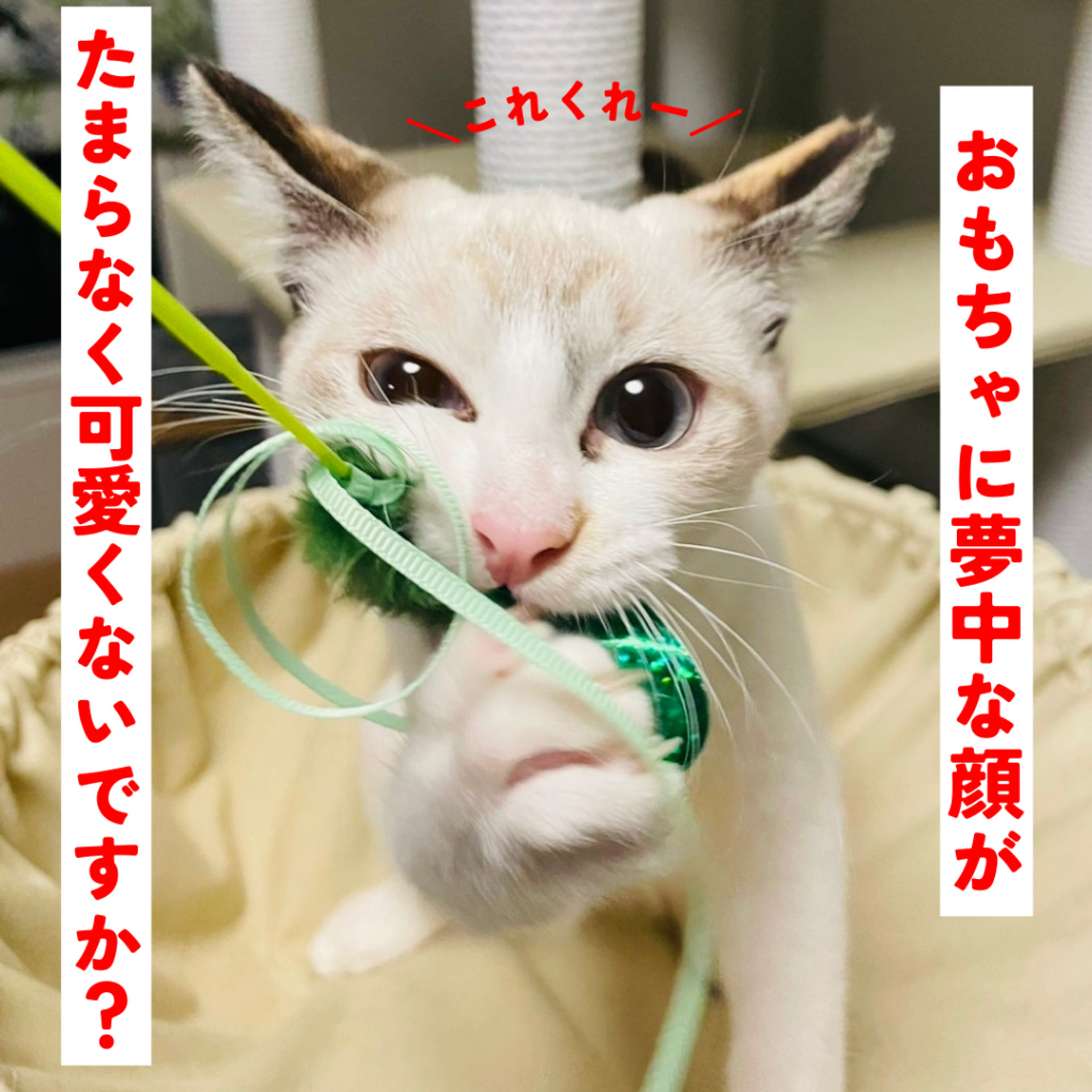 thumbnail-5
