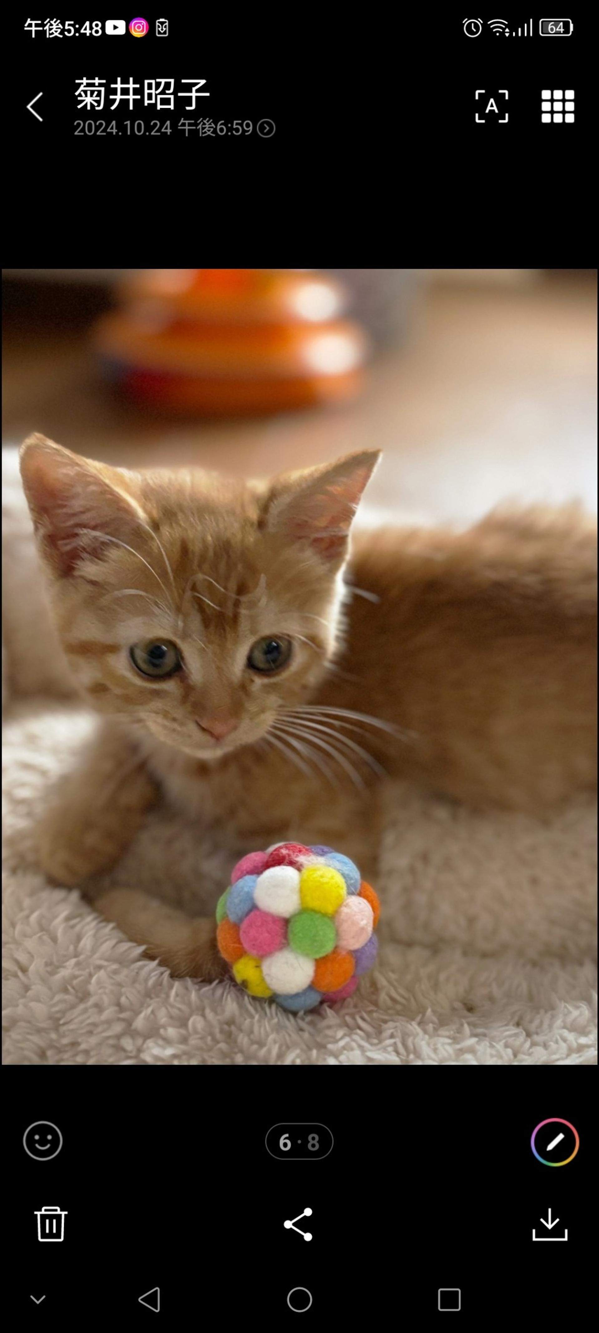 pet-image-5