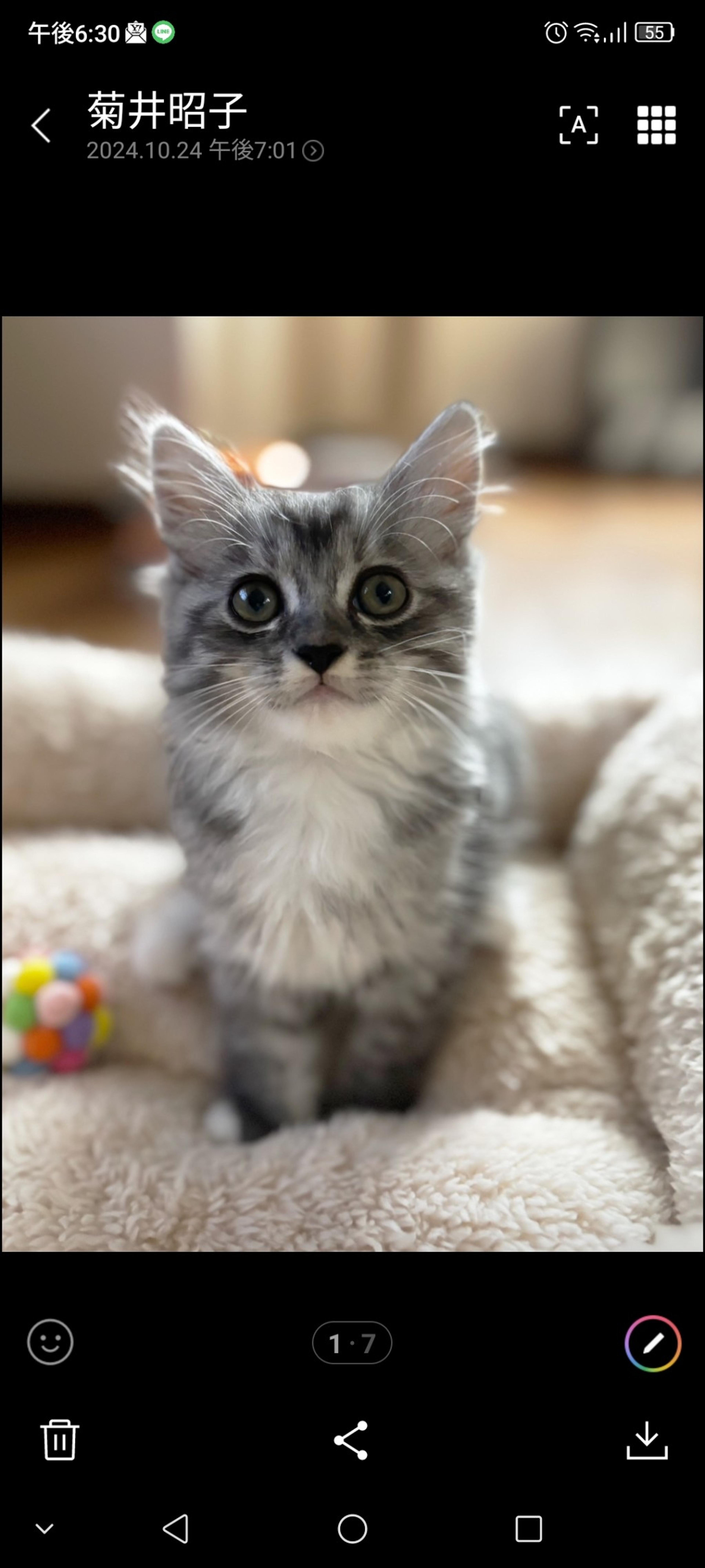 pet-image-4