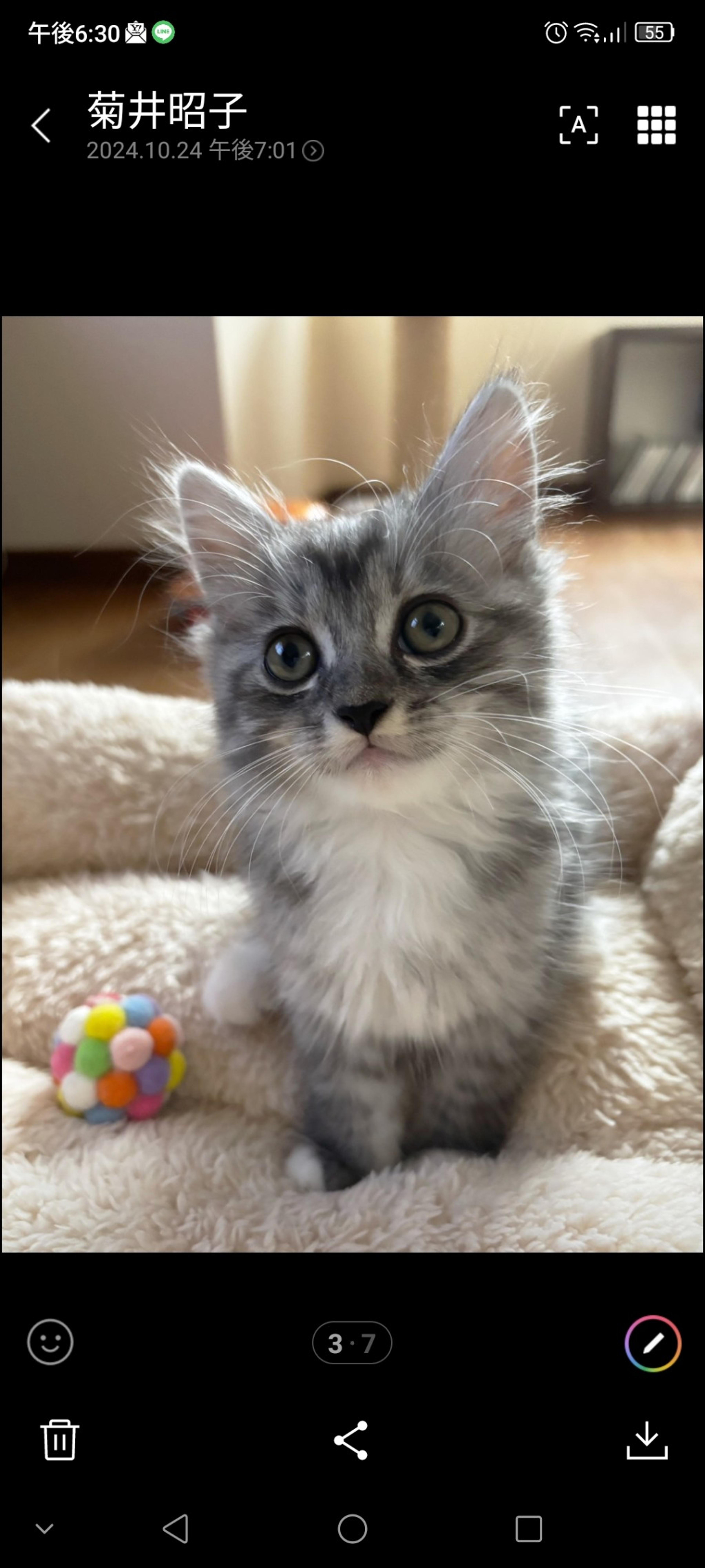 pet-image-3
