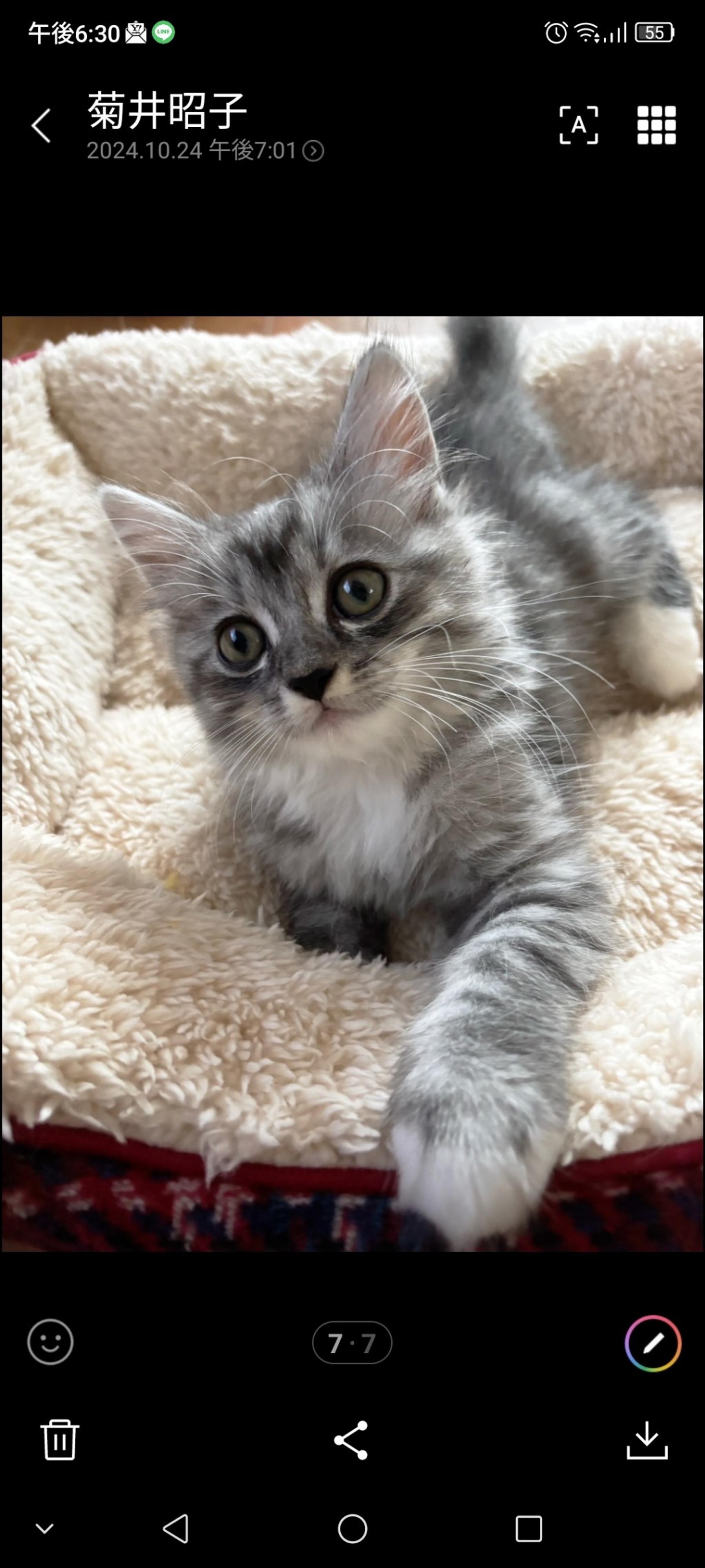 pet-image-2