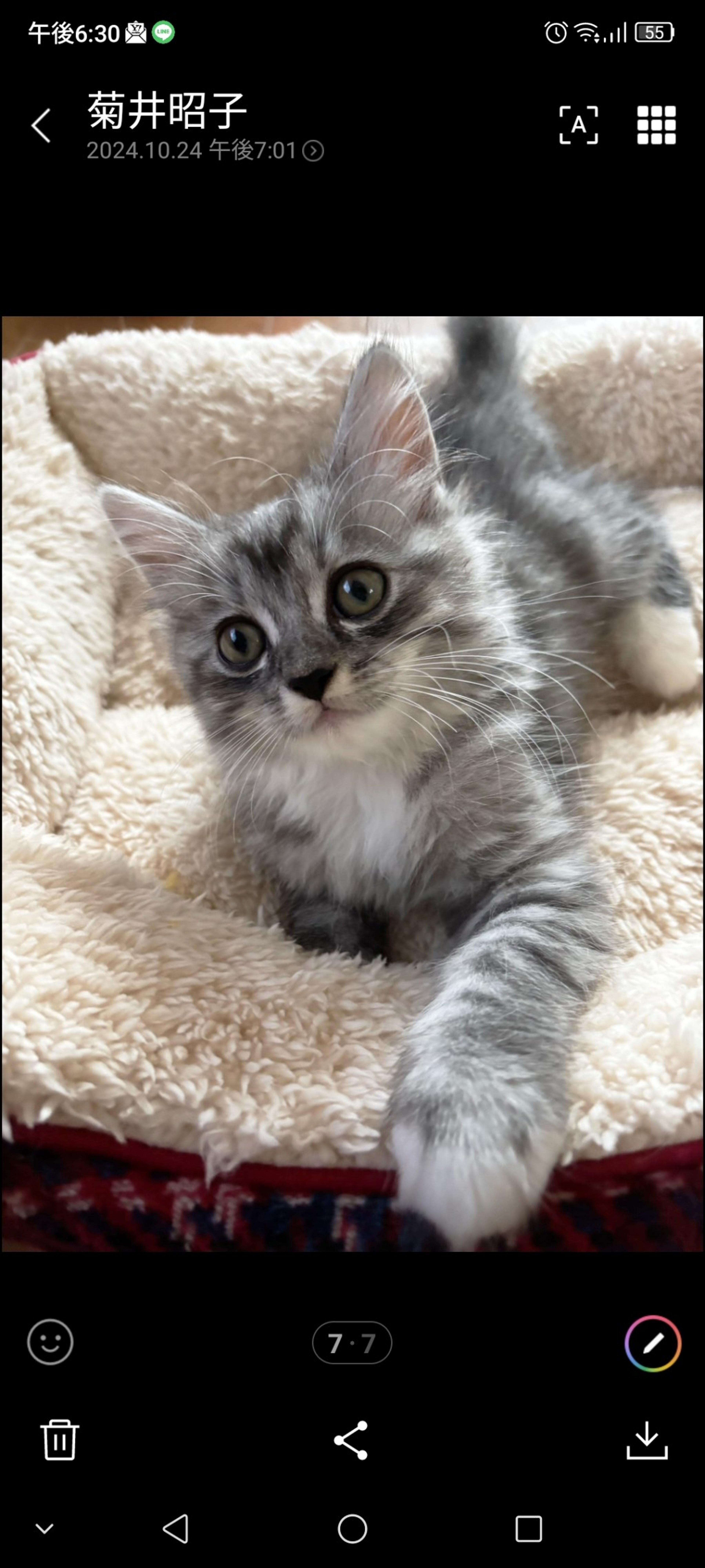 pet-image-2