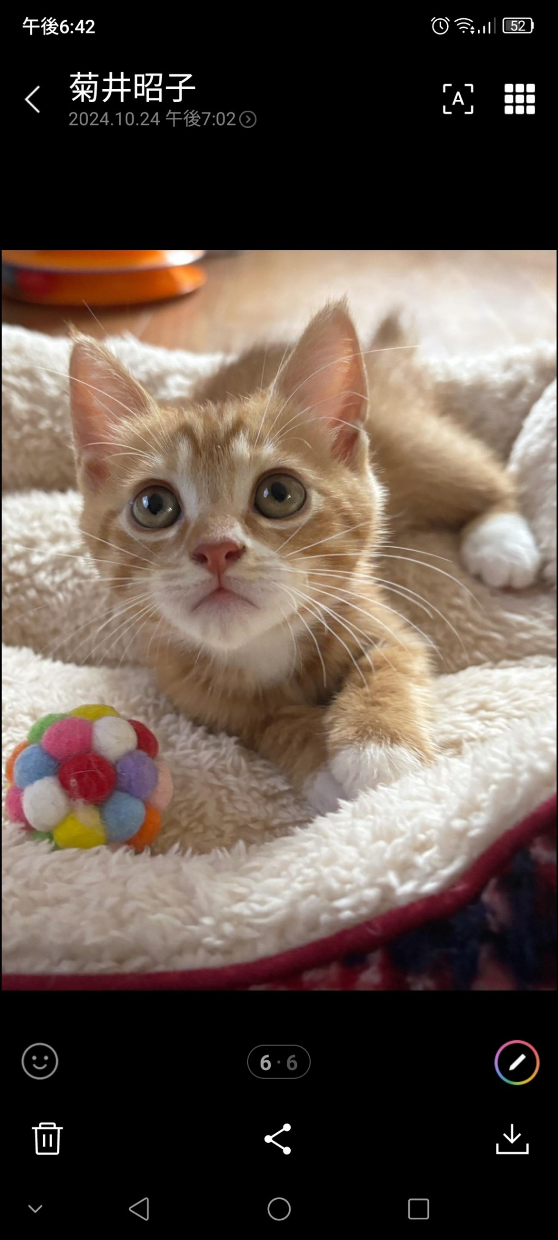 pet-image-4