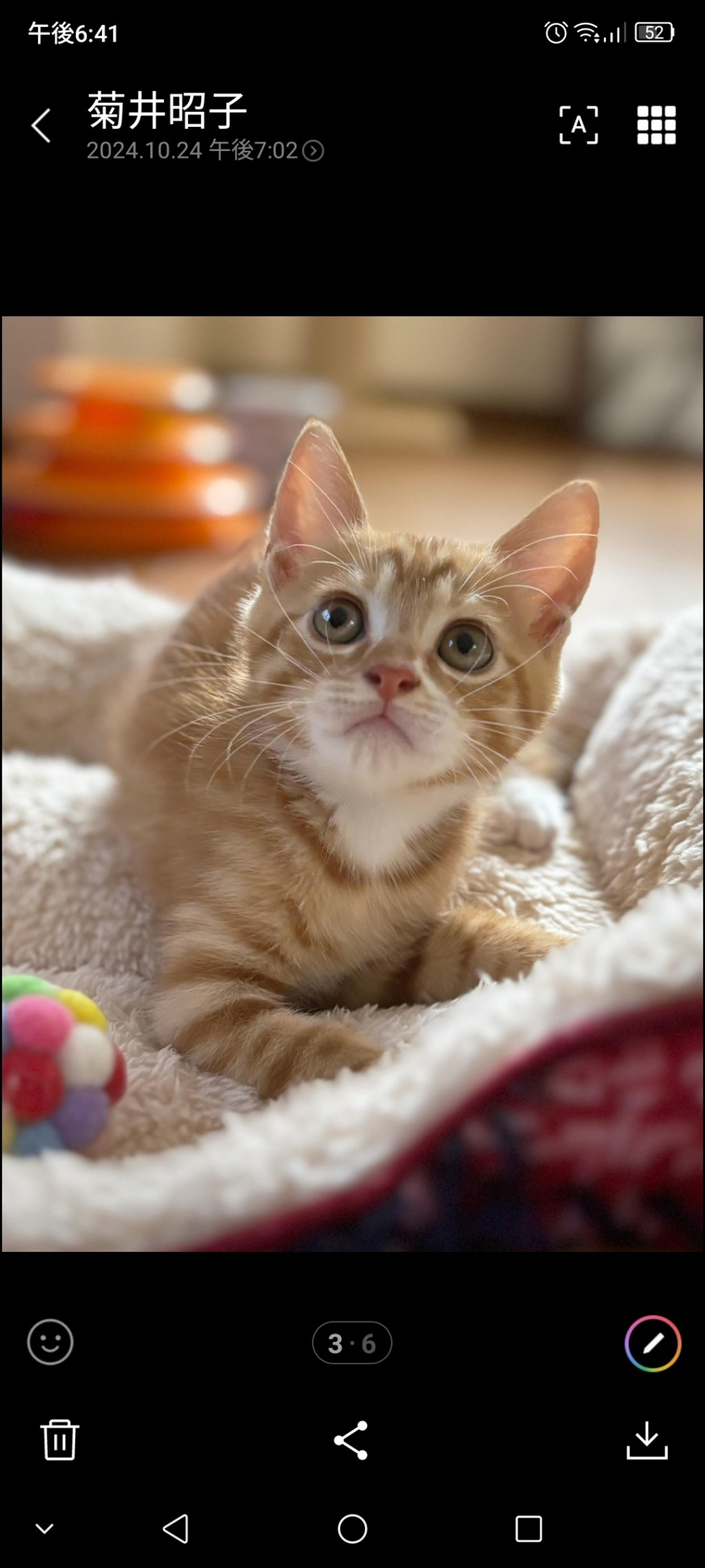 pet-image-3