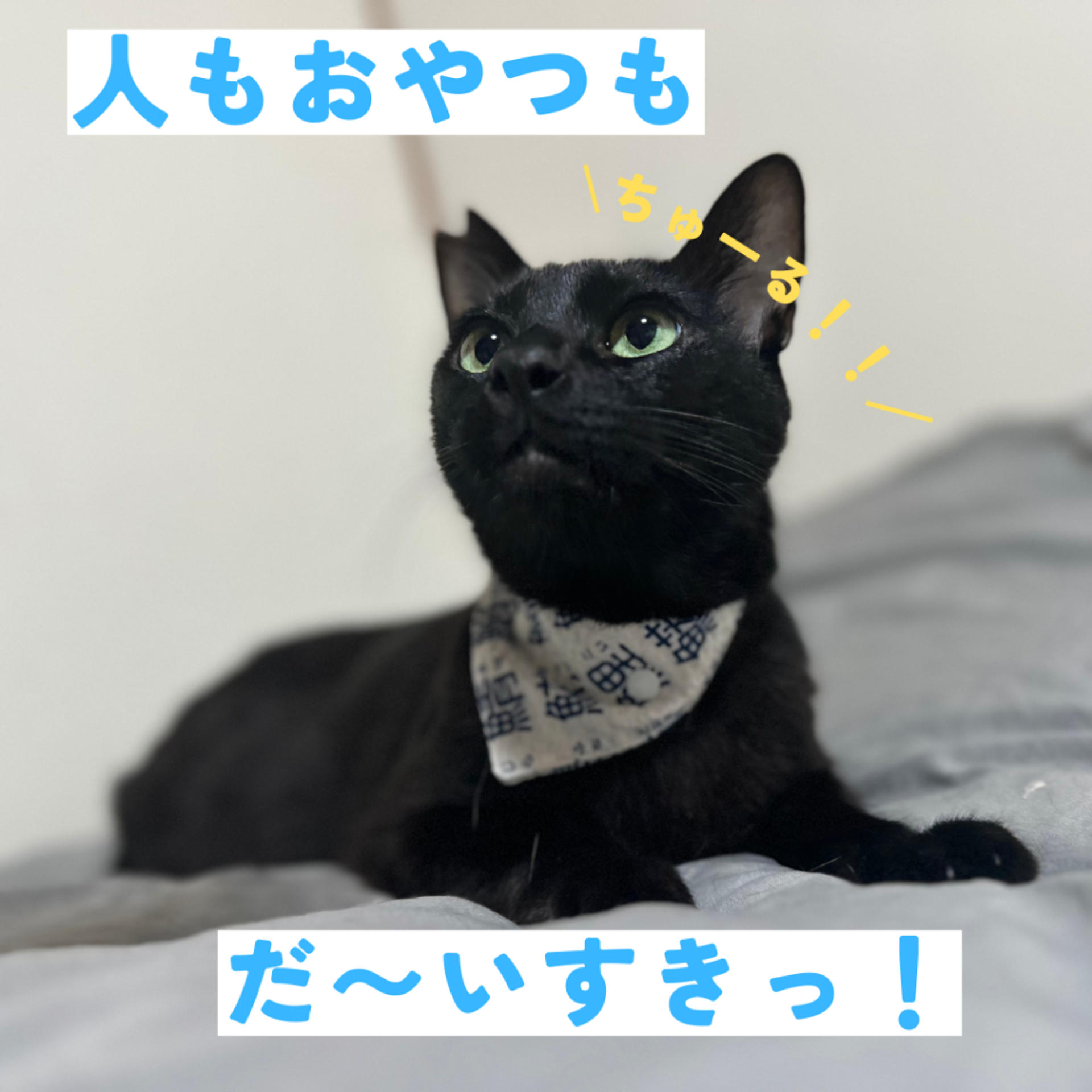 pet-image-5