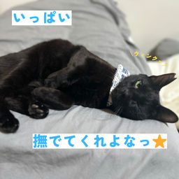 thumb-5