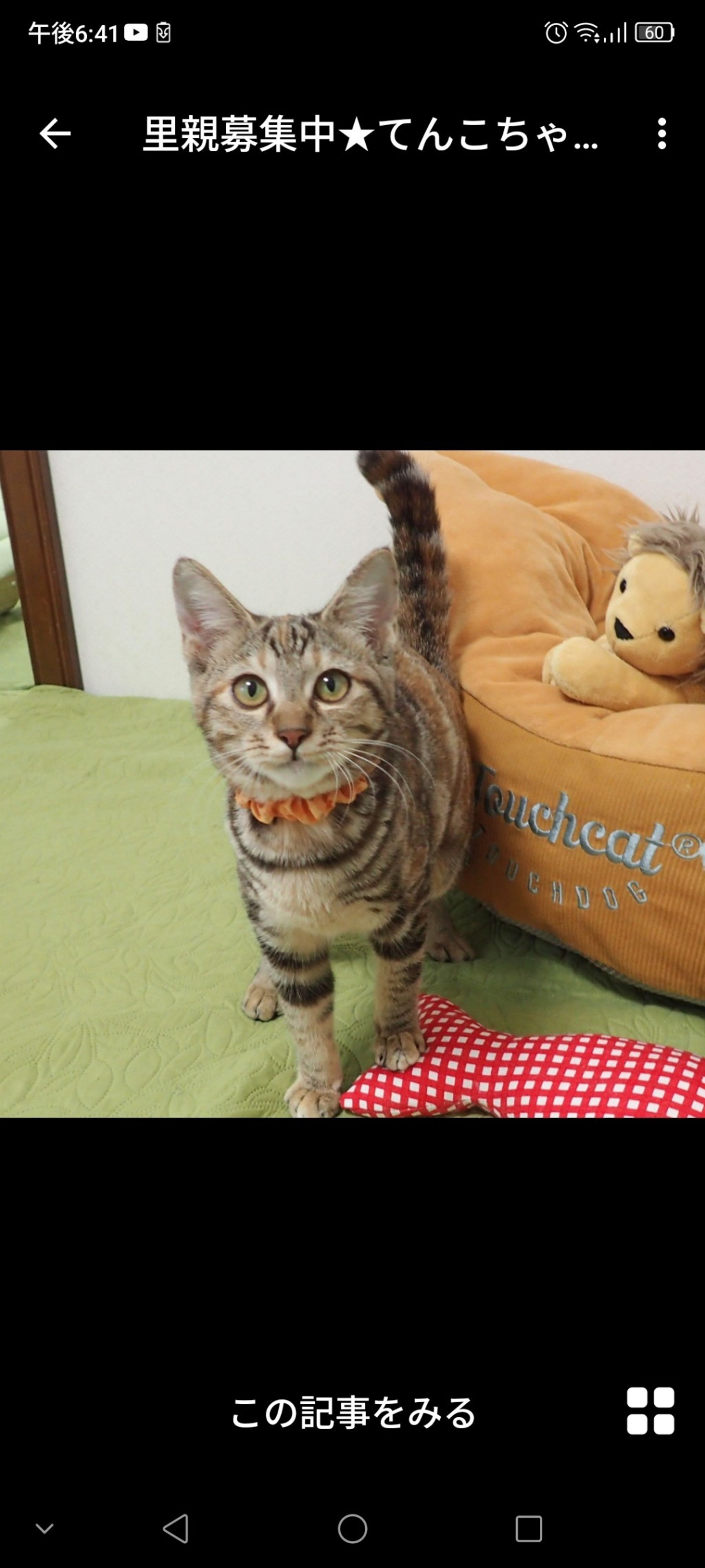 thumbnail-2