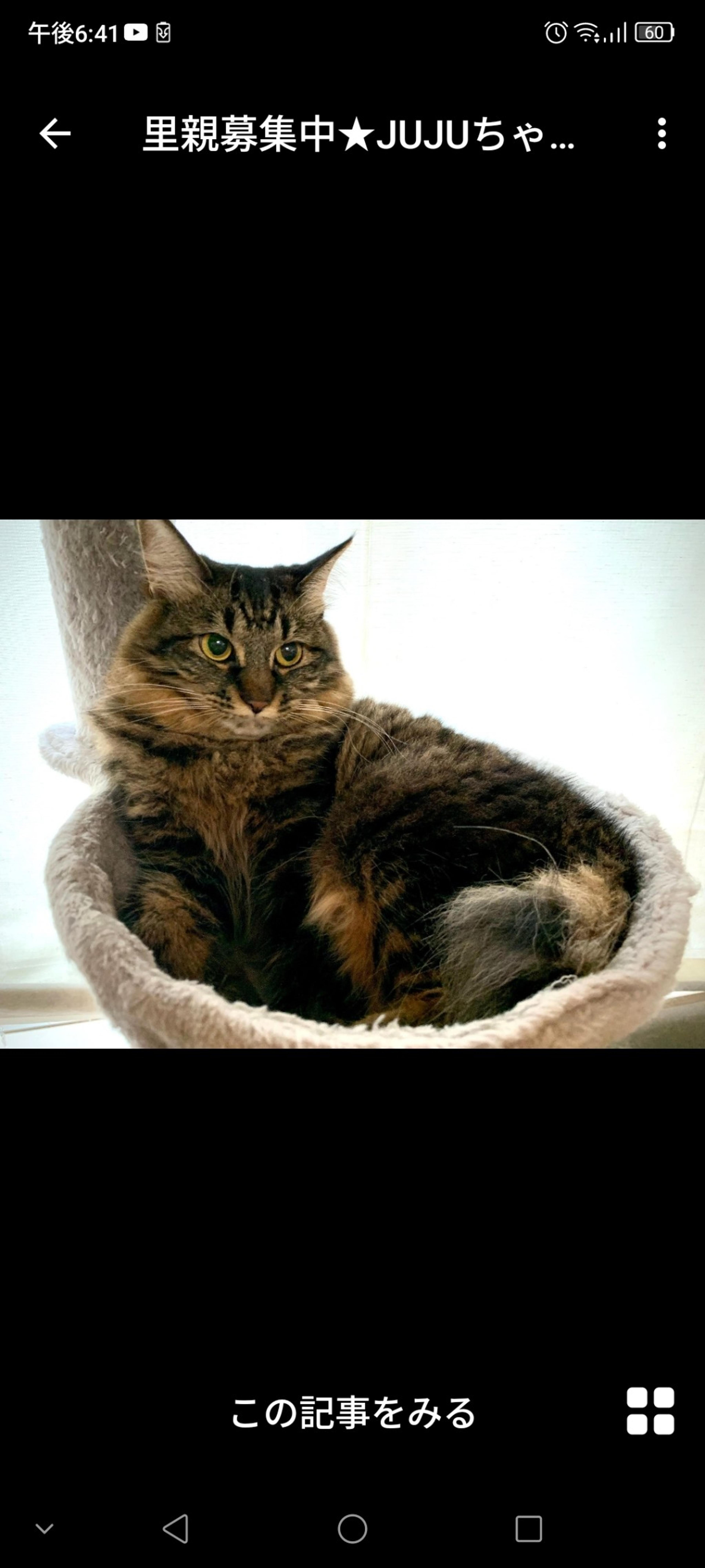 pet-image-3