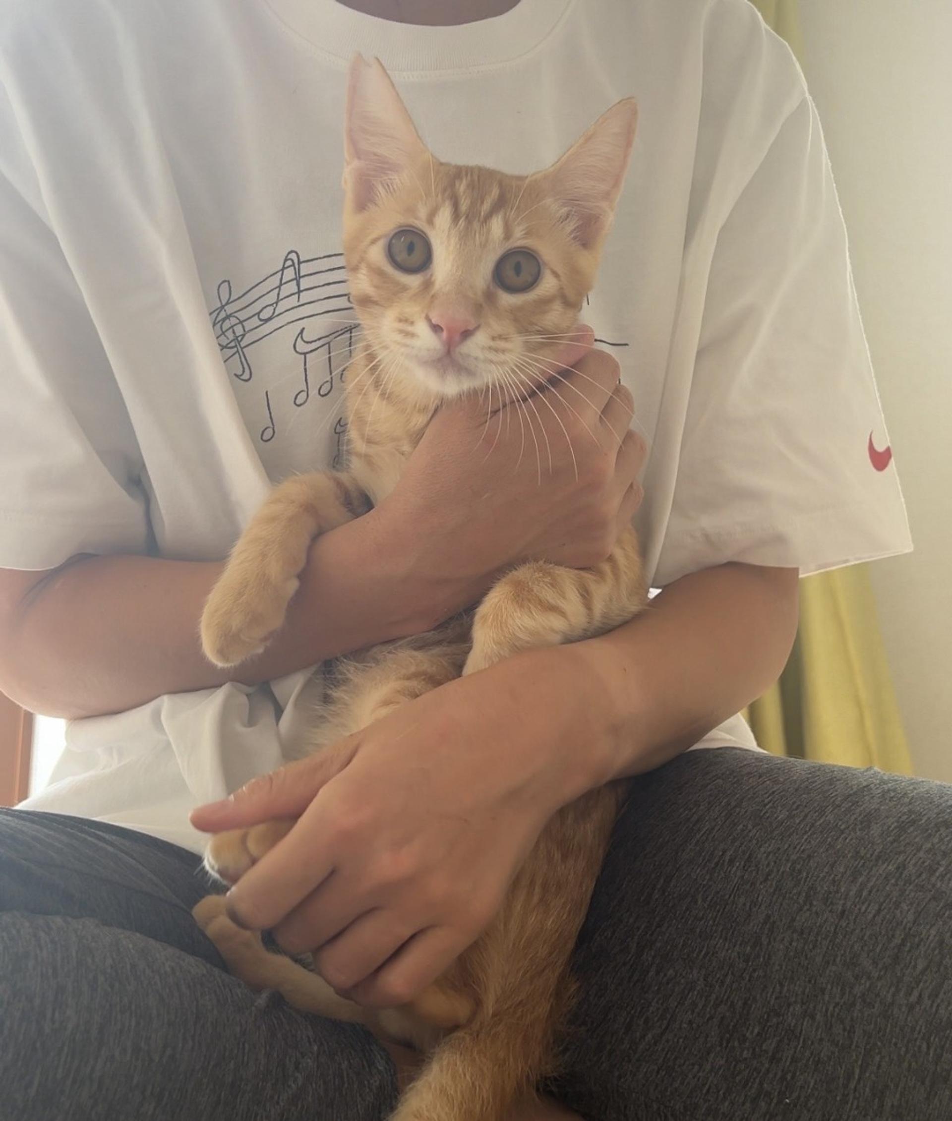 pet-image-7