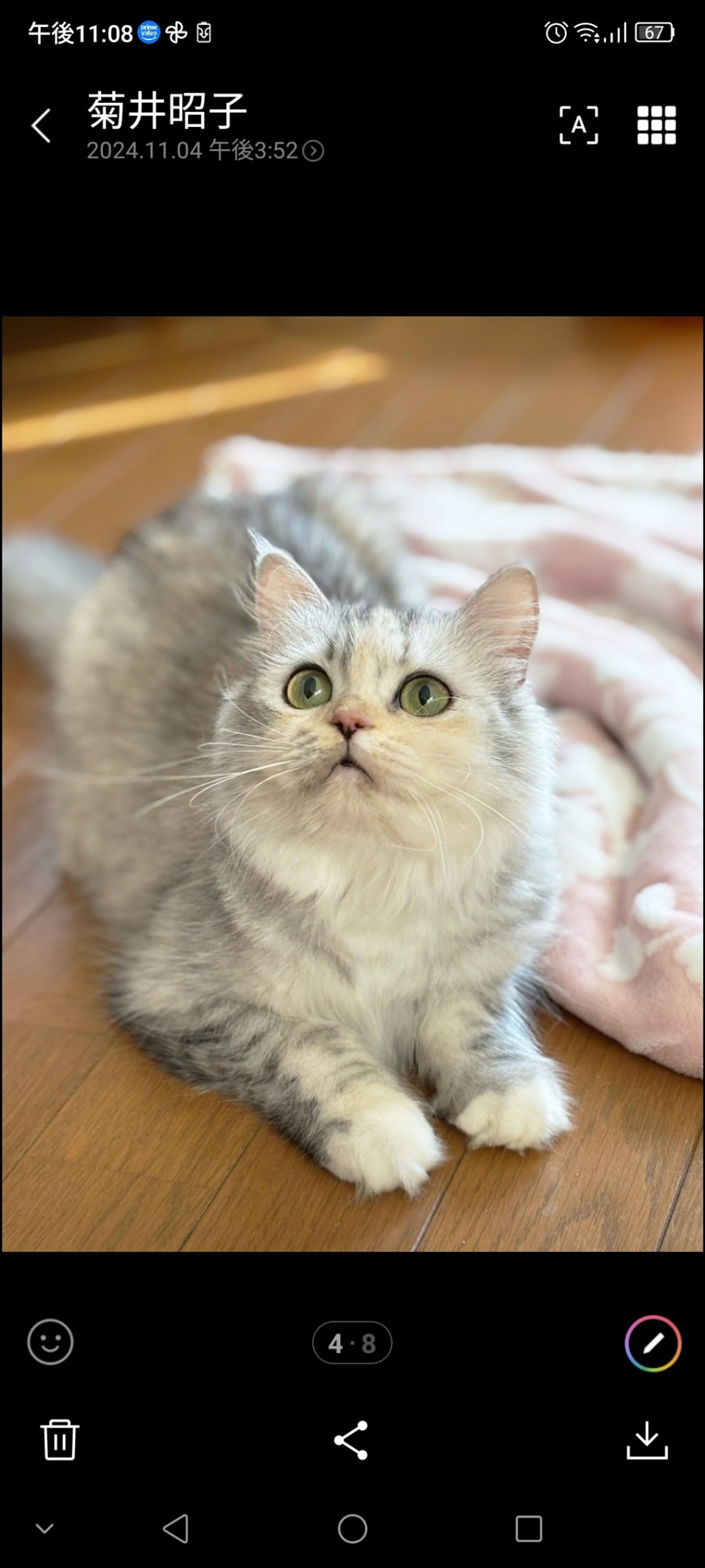 pet-image-3