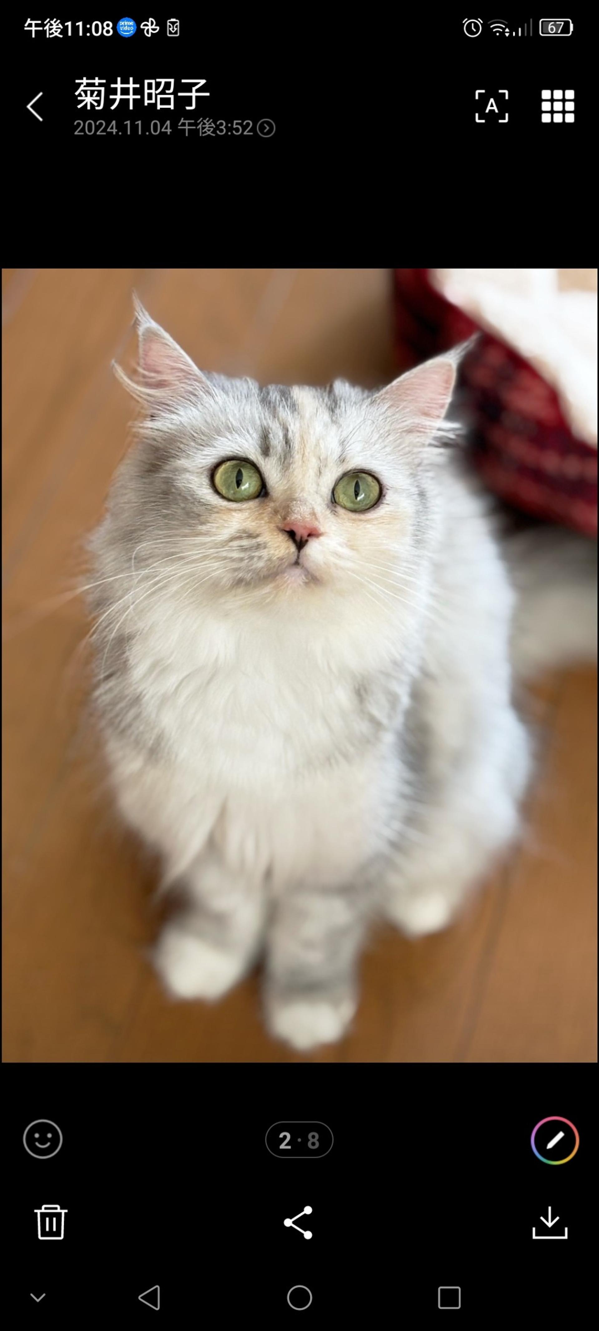 pet-image-6
