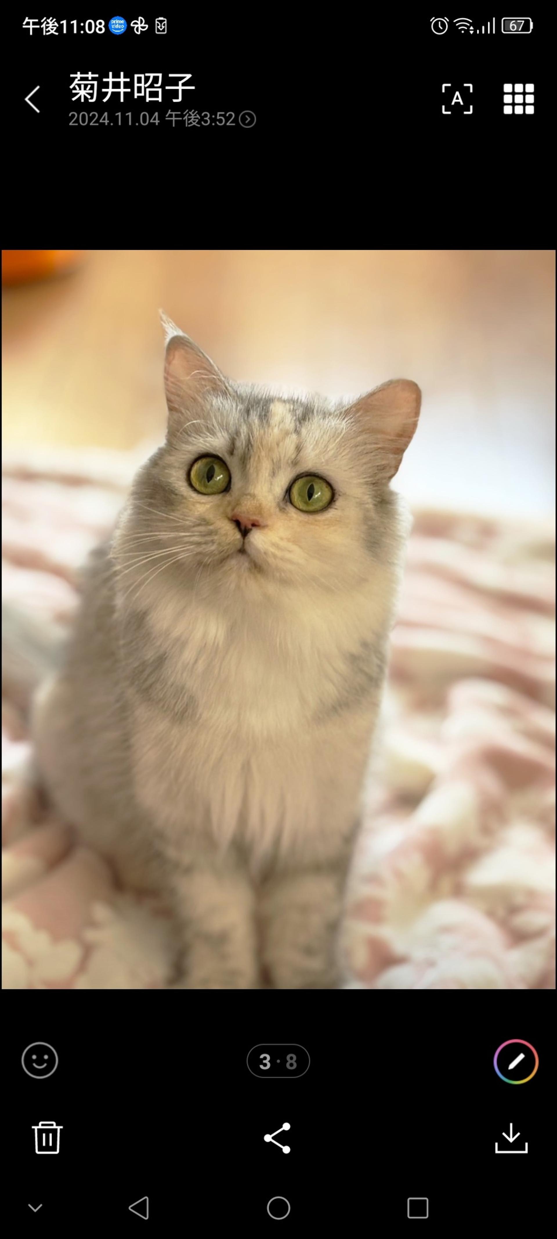 pet-image-4